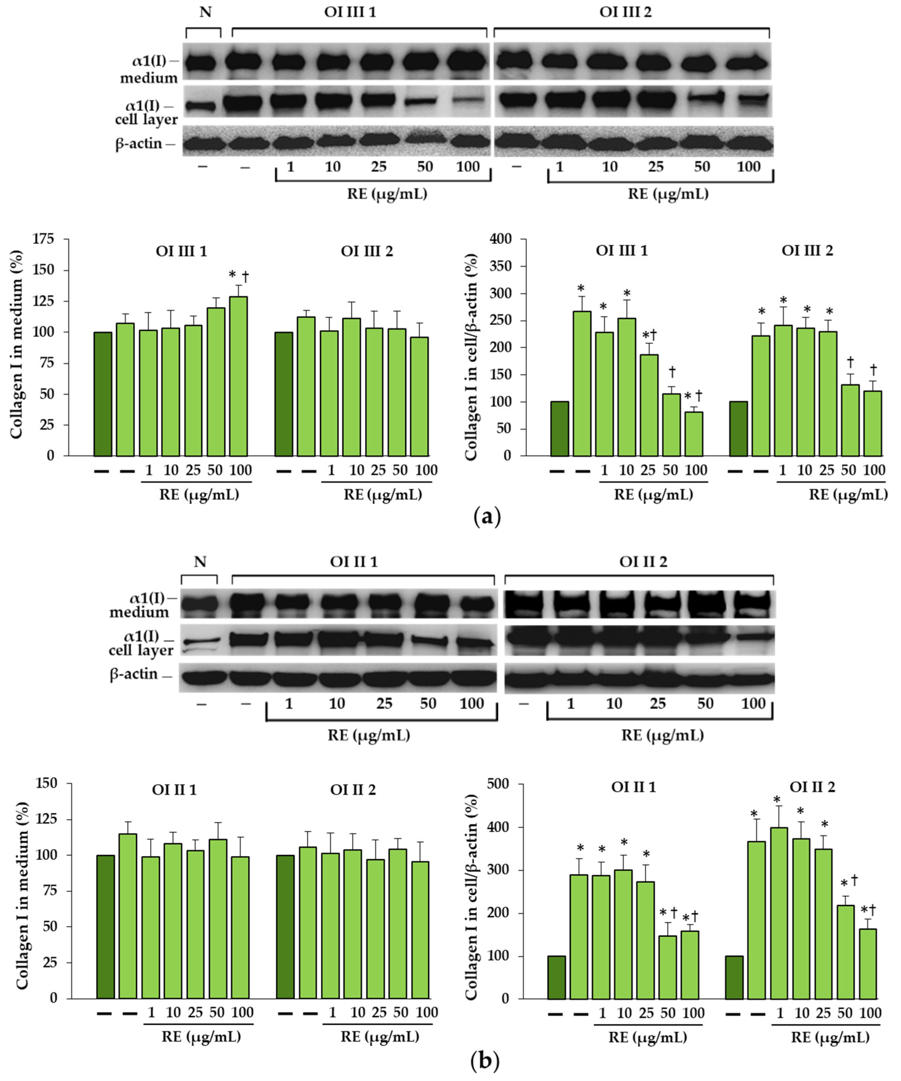 Ijms 23 10341 g002 Ijms 23 10341 g002