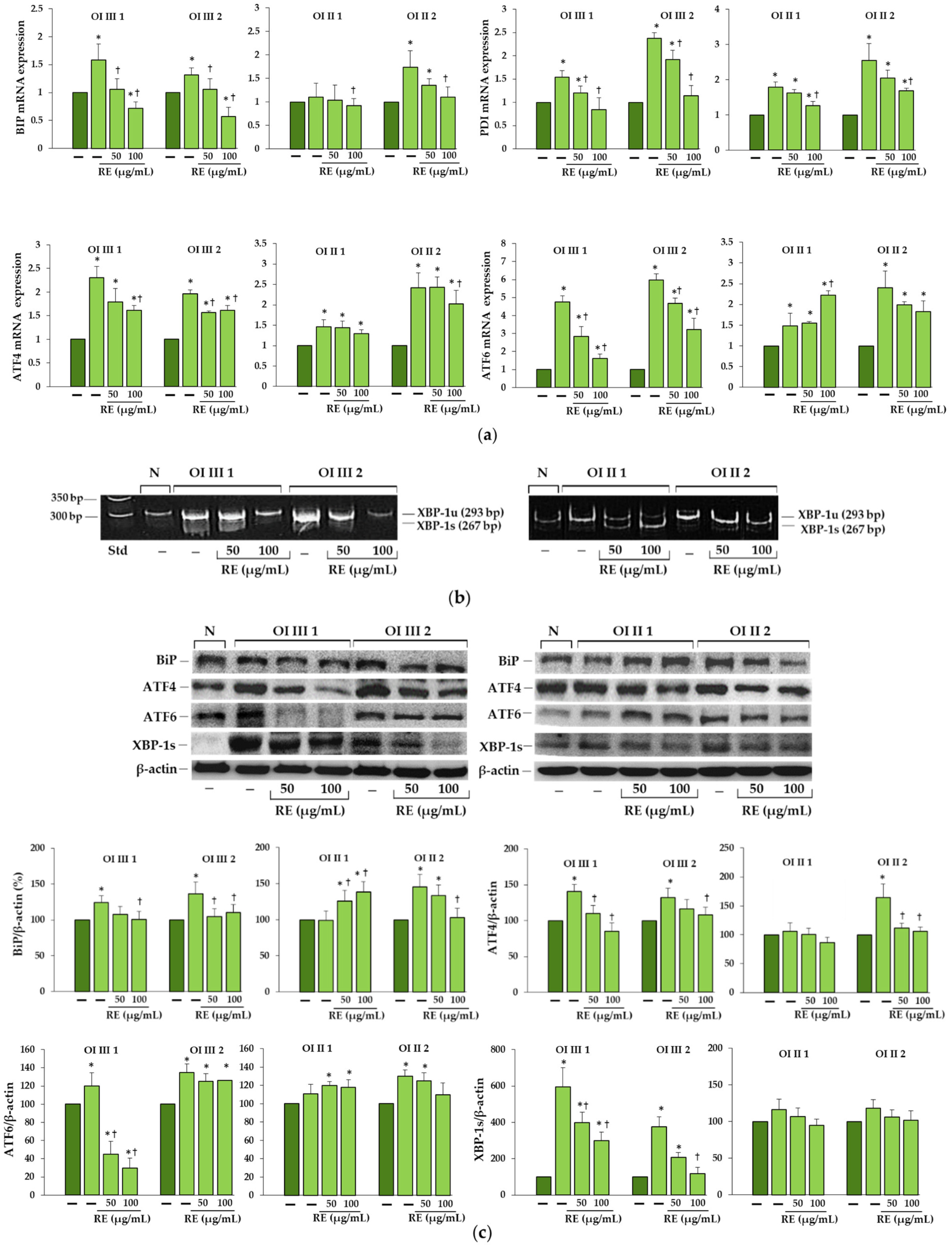 Ijms 23 10341 g003 Ijms 23 10341 g003