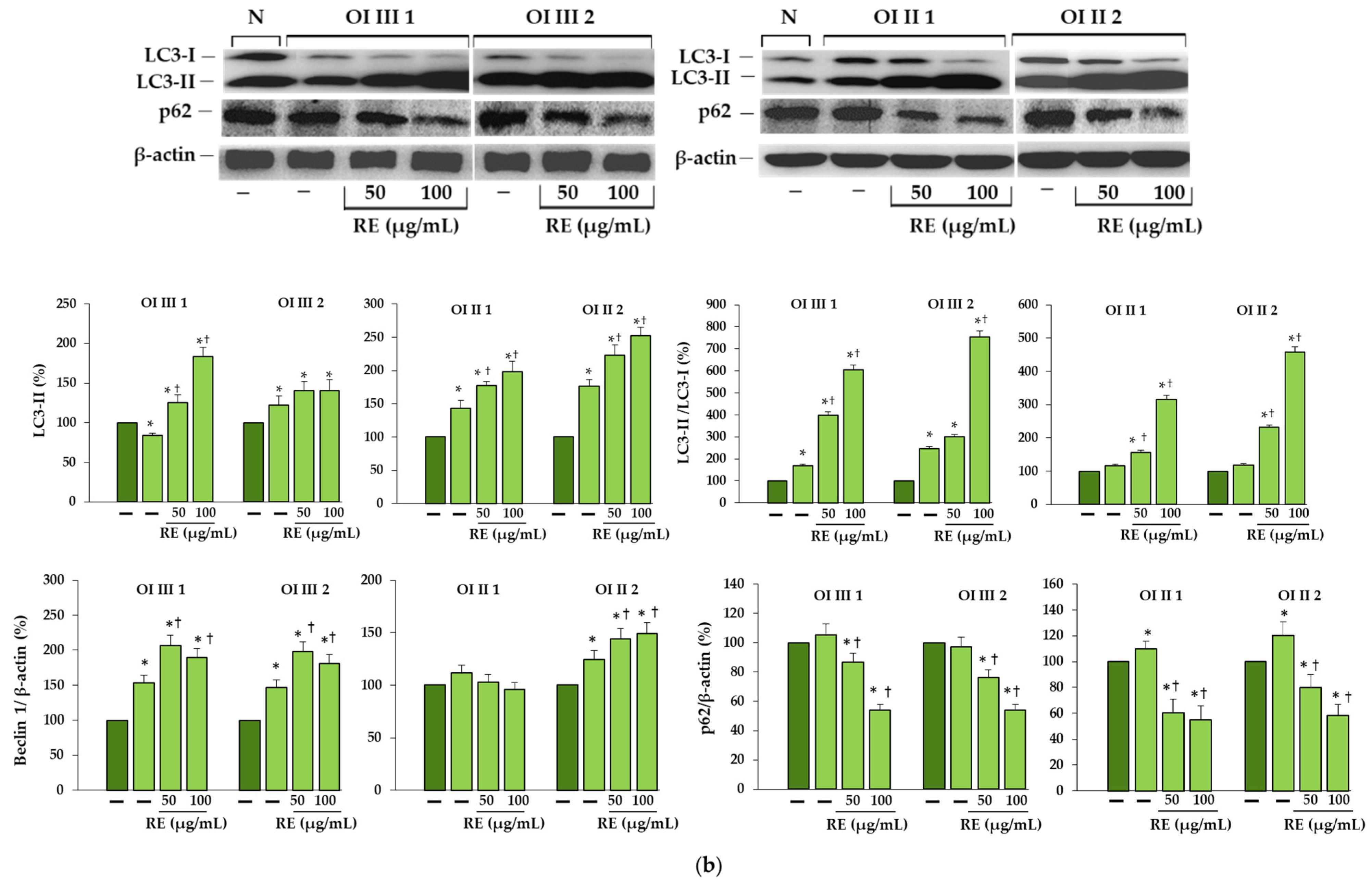 Ijms 23 10341 g004b Ijms 23 10341 g004b