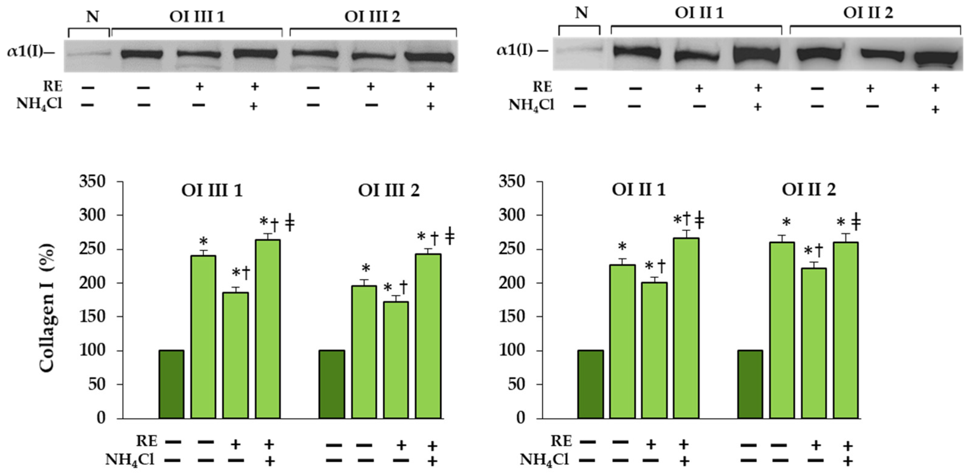 Ijms 23 10341 g005 Ijms 23 10341 g005