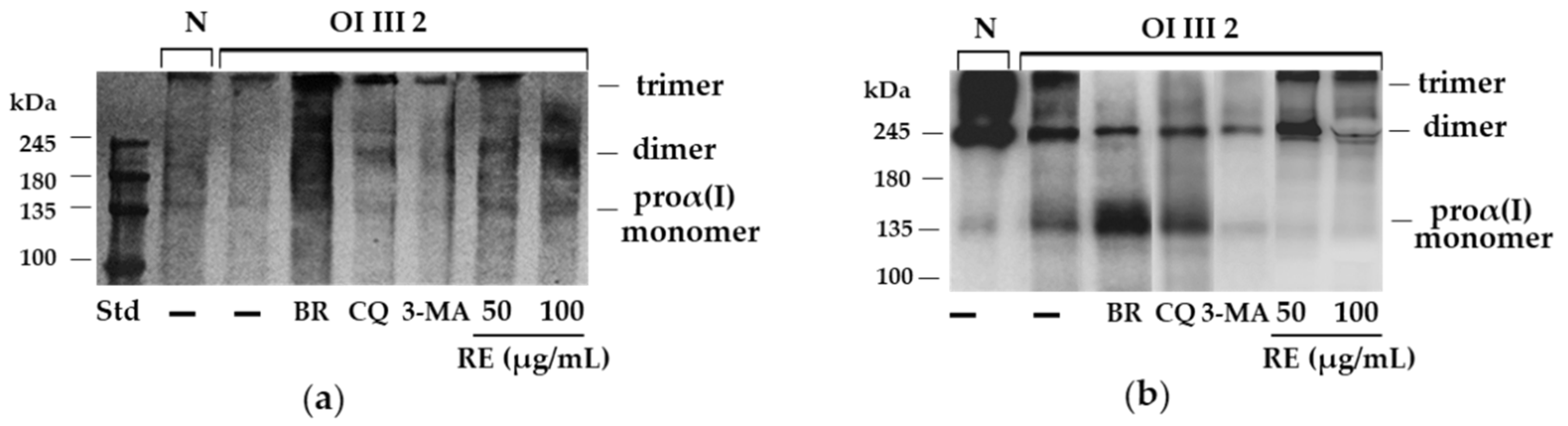 Ijms 23 10341 g007 Ijms 23 10341 g007