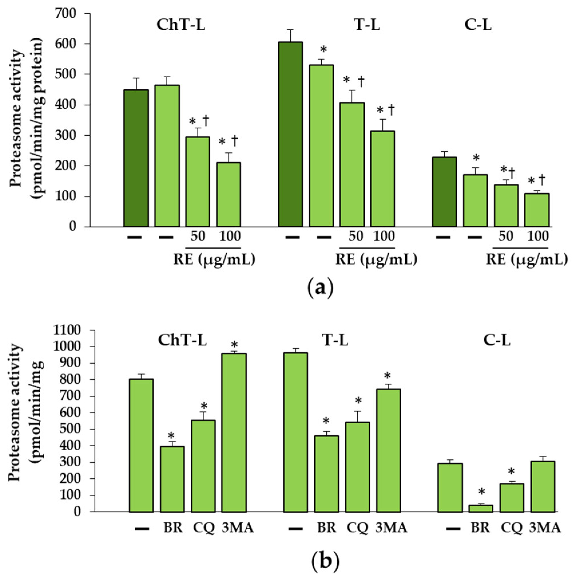 Ijms 23 10341 g008 Ijms 23 10341 g008
