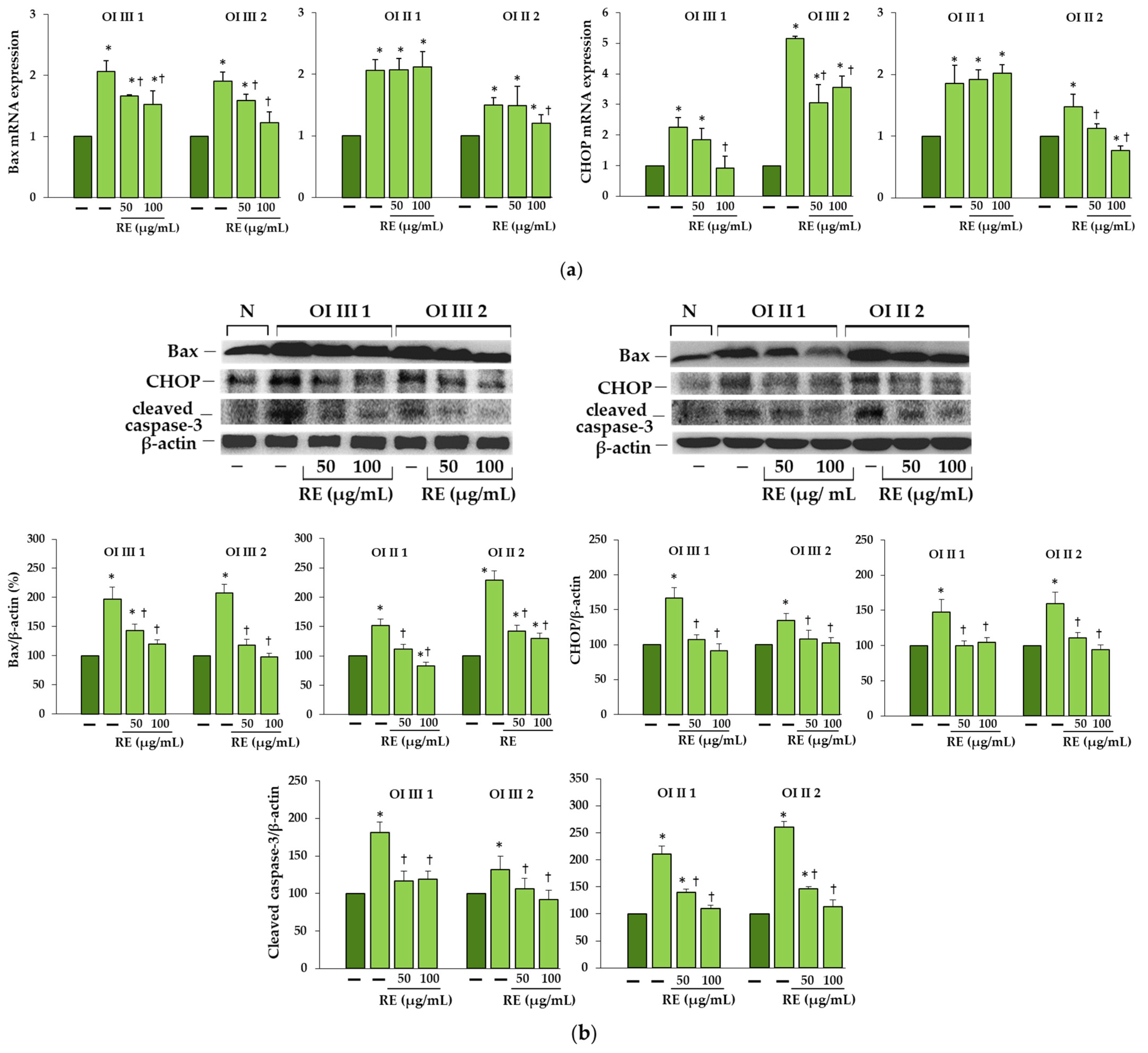 Ijms 23 10341 g009 Ijms 23 10341 g009