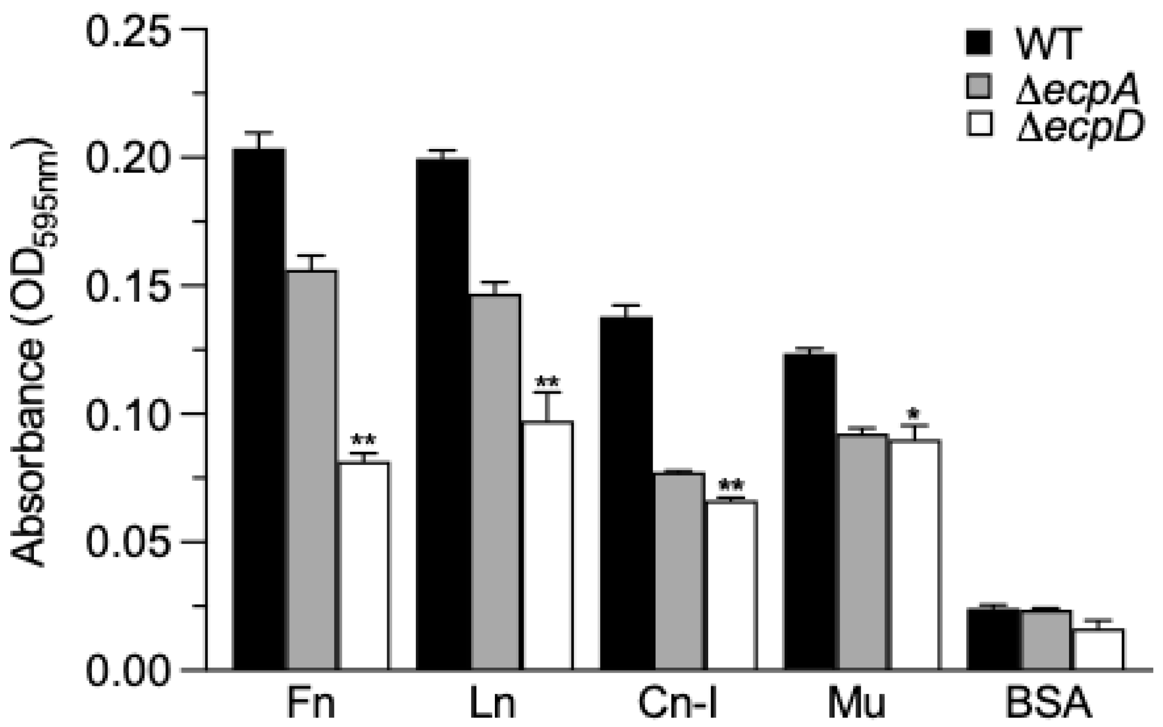 The EcpD Tip Adhesin of the Escherichia coli Common Pilus Mediates ...