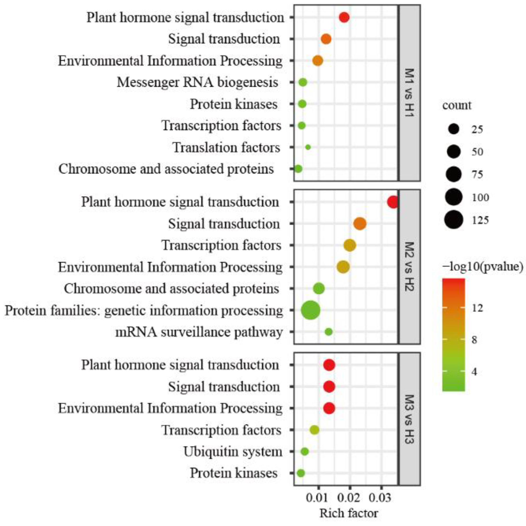 Identification of miRNAs and Target Genes at Key Stages of Sexual ...