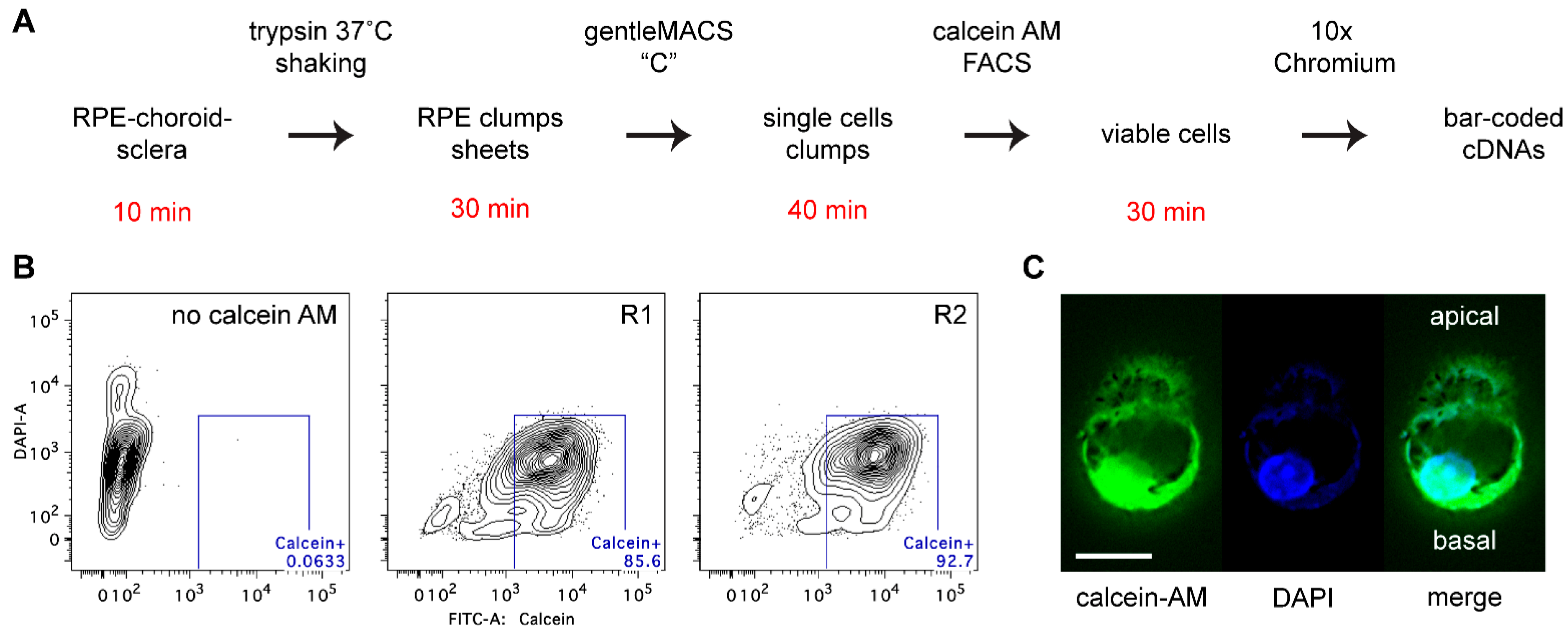 Ijms 23 10419 g001 Ijms 23 10419 g001