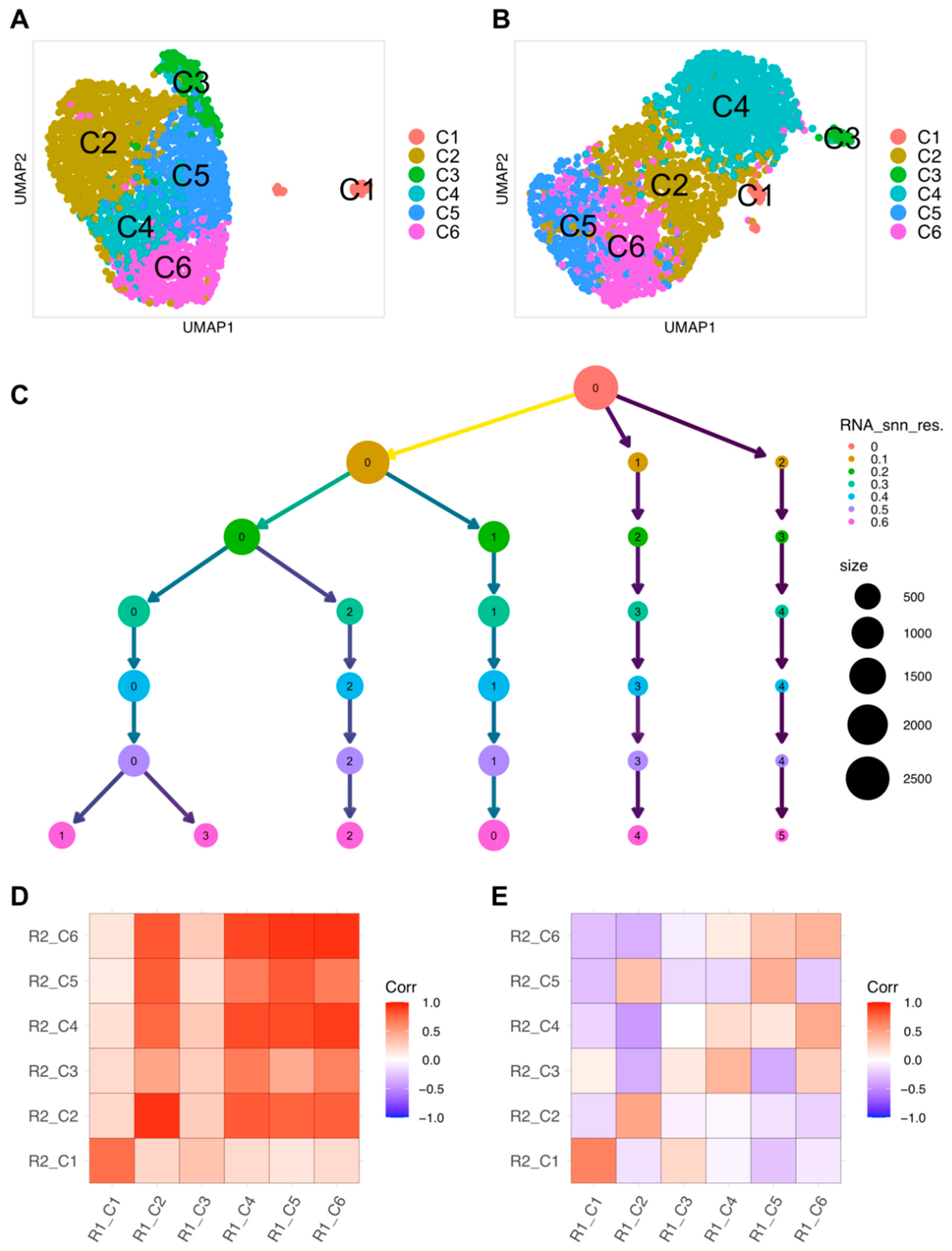 Ijms 23 10419 g002 Ijms 23 10419 g002