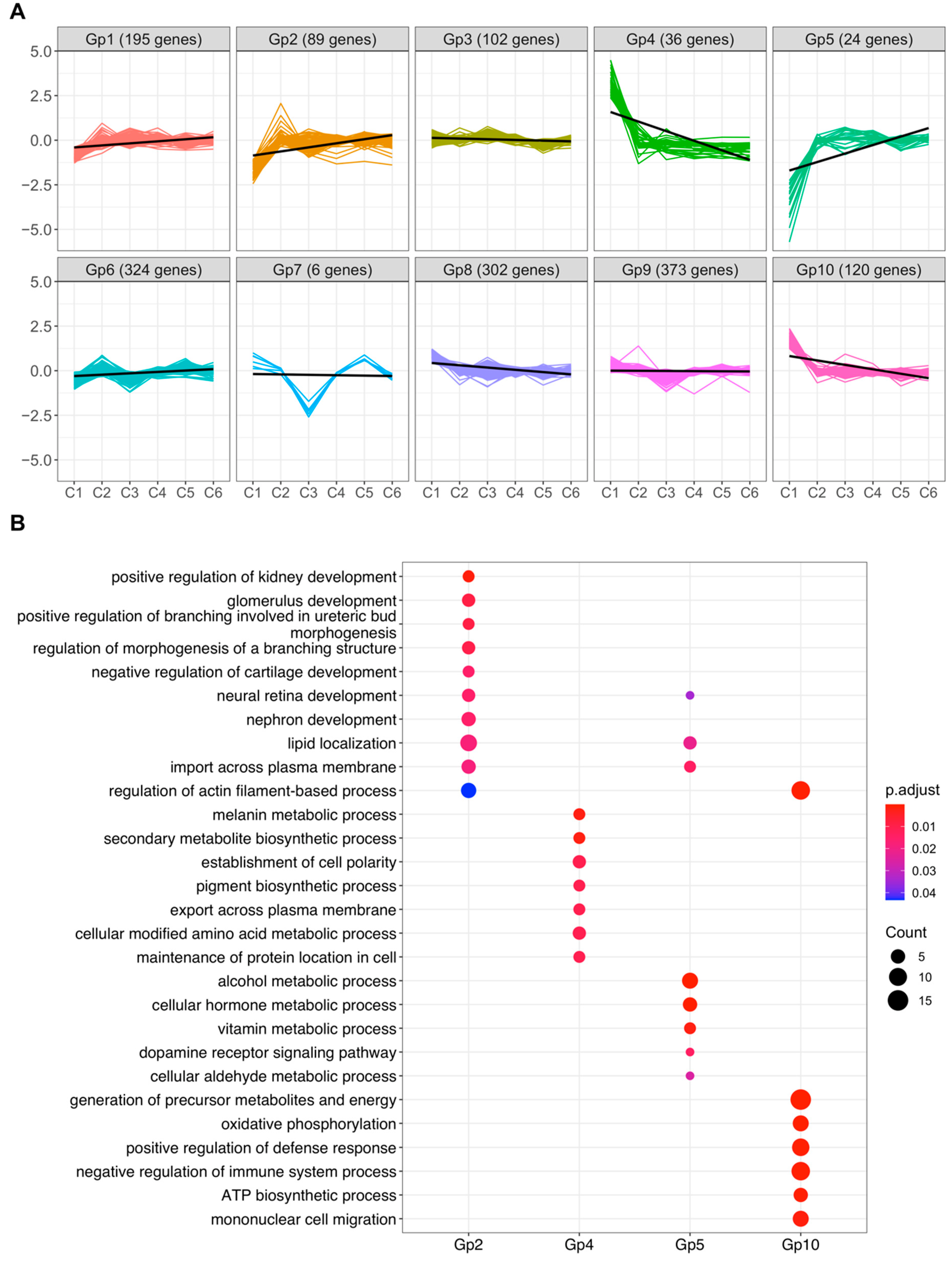 Ijms 23 10419 g005 Ijms 23 10419 g005