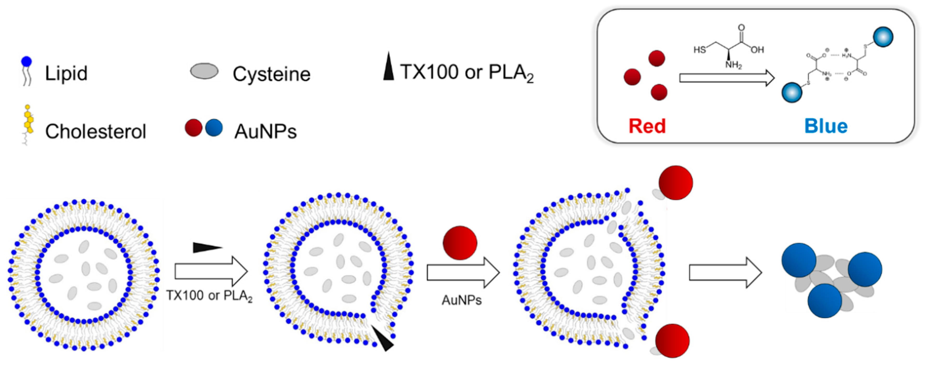 Ijms 23 10566 sch001