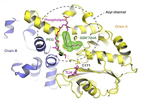 Ijms 23 10669 i011 Ijms 23 10669 i011