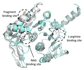 Ijms 23 10669 i015 Ijms 23 10669 i015