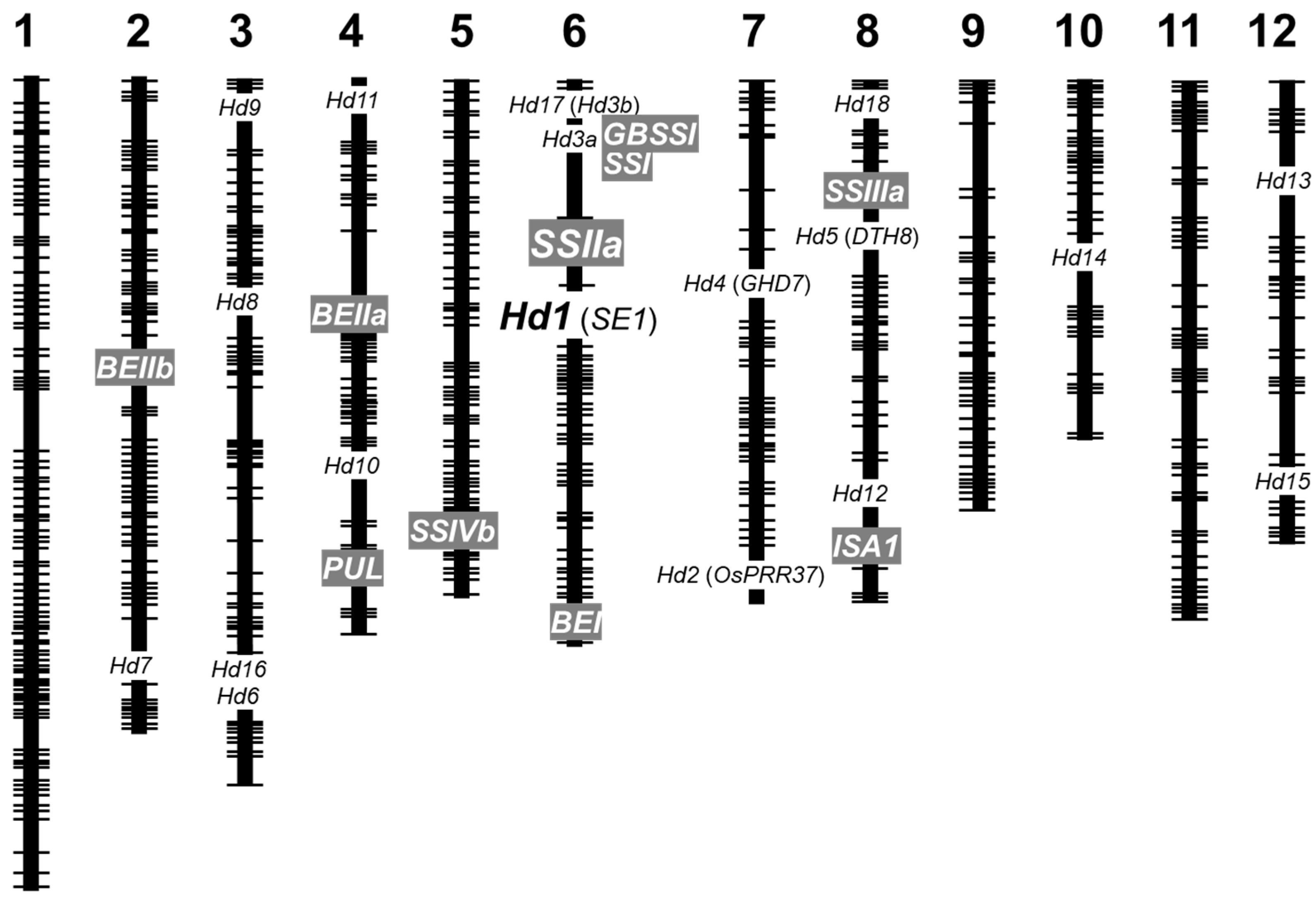 Ijms 23 10783 g001 Ijms 23 10783 g001