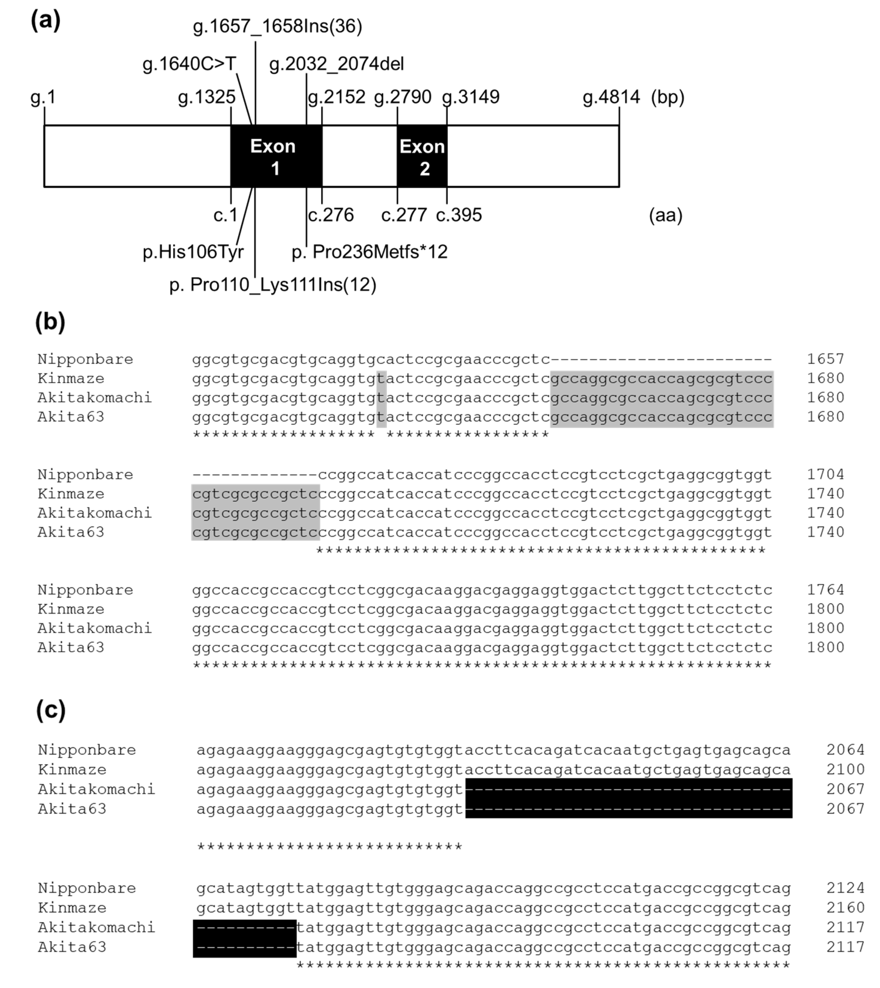 Ijms 23 10783 g002a Ijms 23 10783 g002a