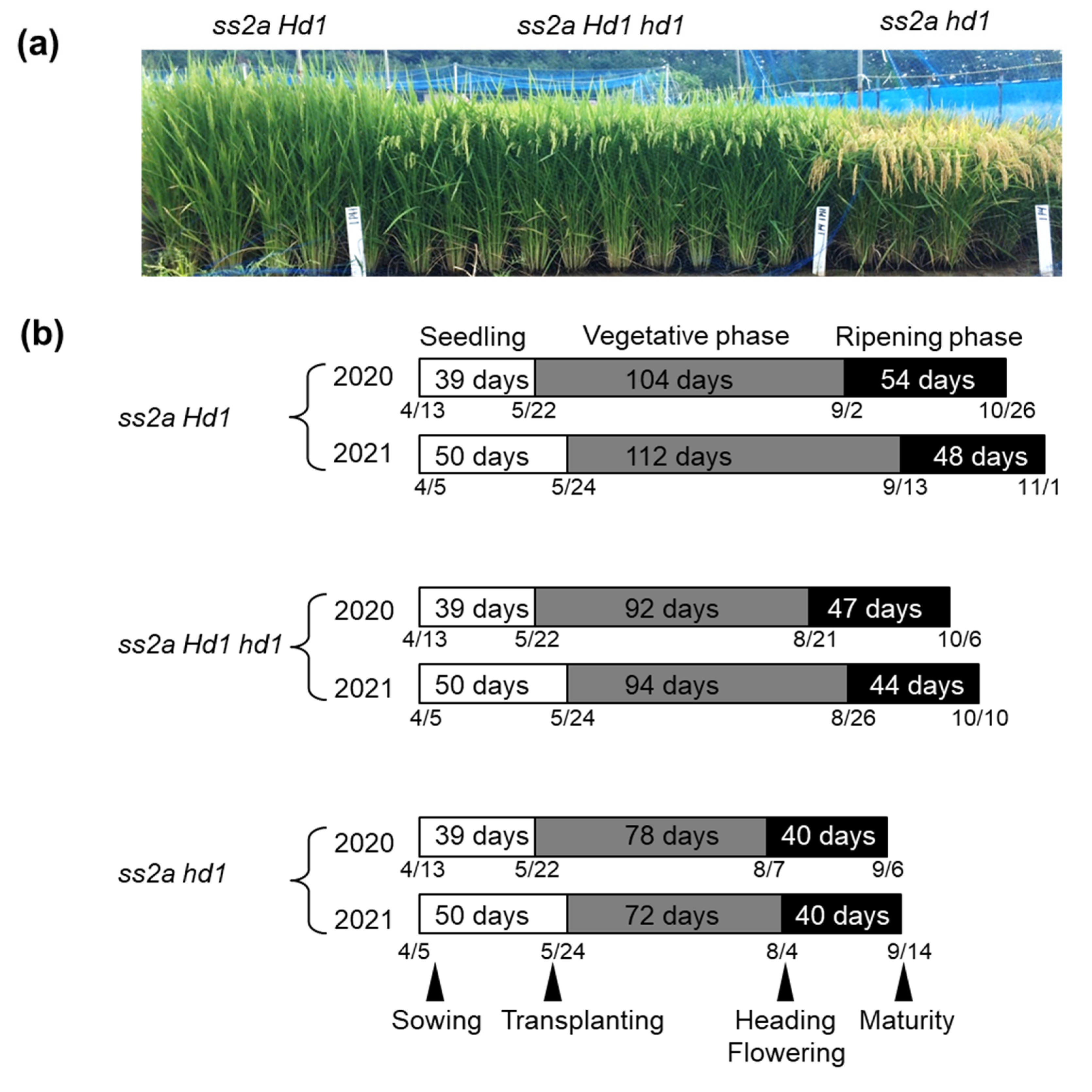 Ijms 23 10783 g005a Ijms 23 10783 g005a