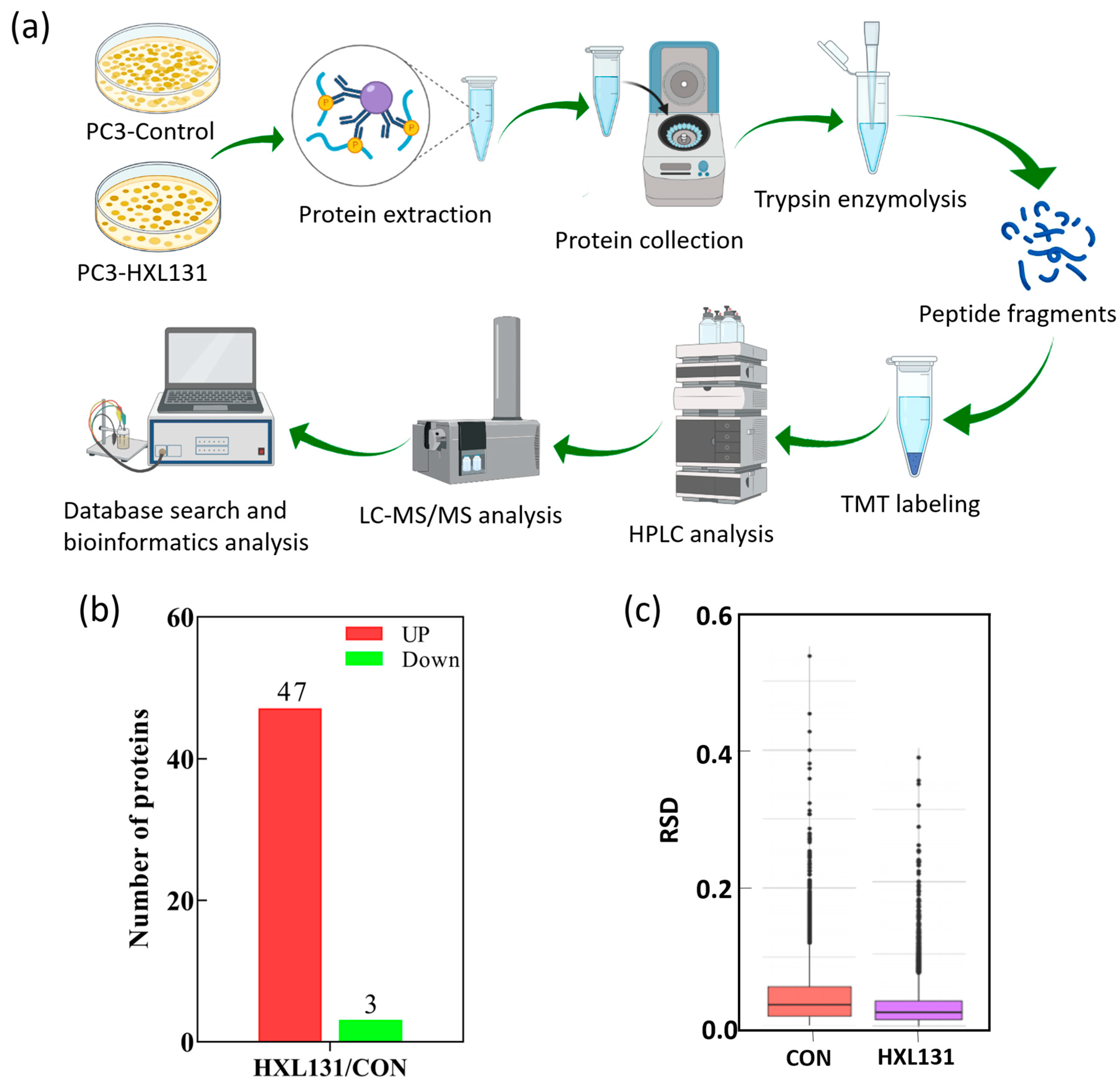 Ijms 23 10916 g003 Ijms 23 10916 g003