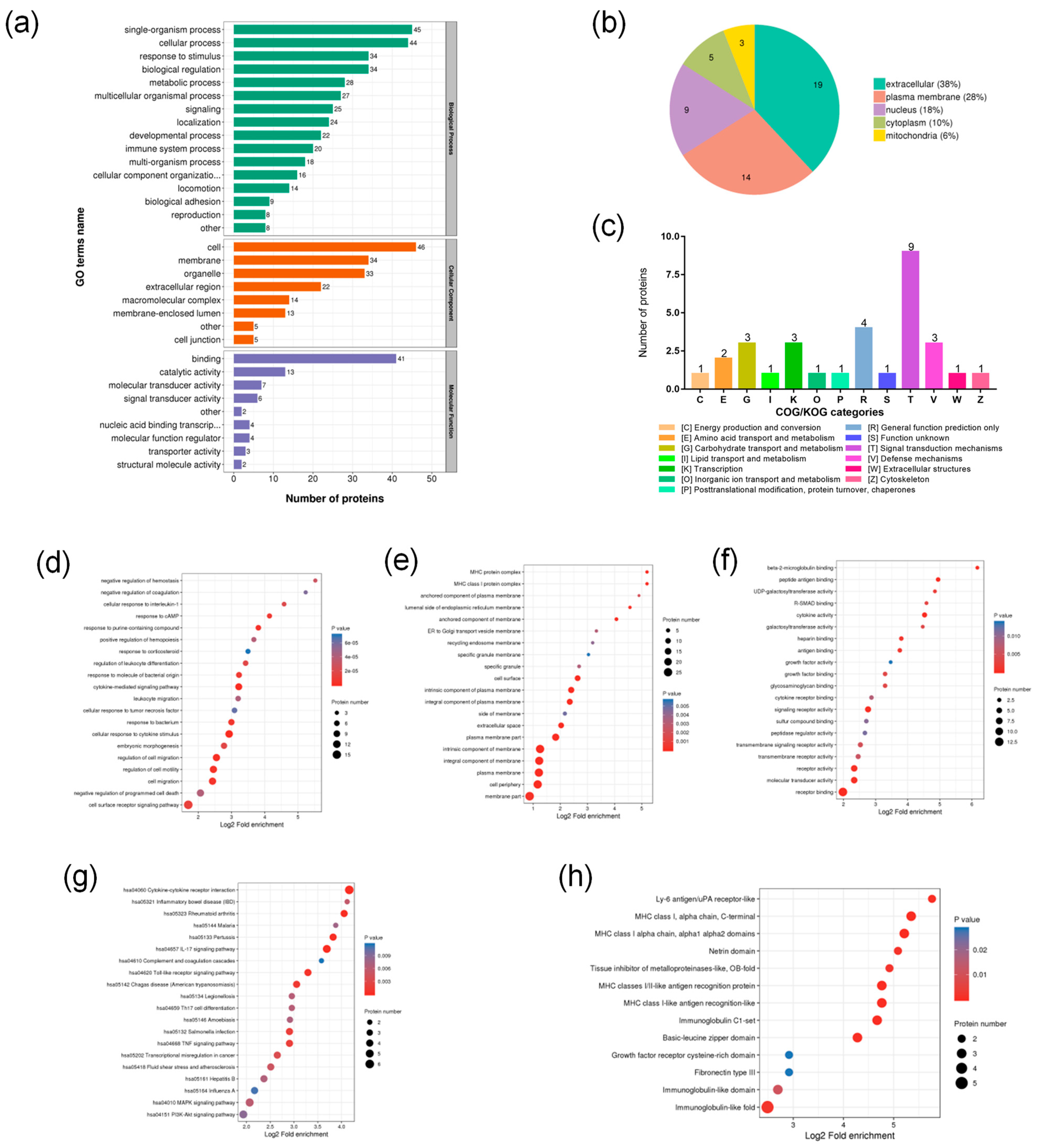 Ijms 23 10916 g004 Ijms 23 10916 g004