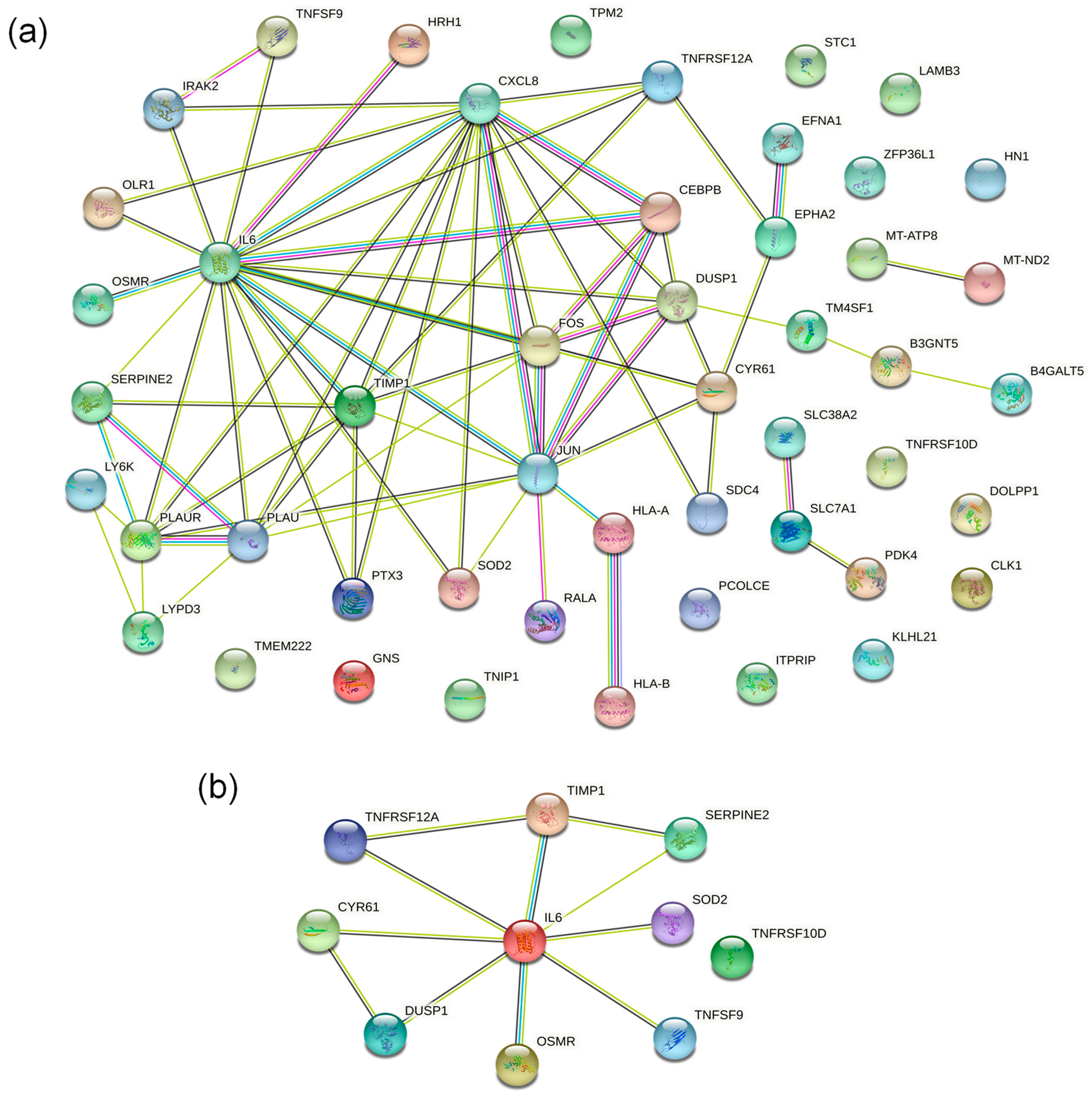 Ijms 23 10916 g005 Ijms 23 10916 g005