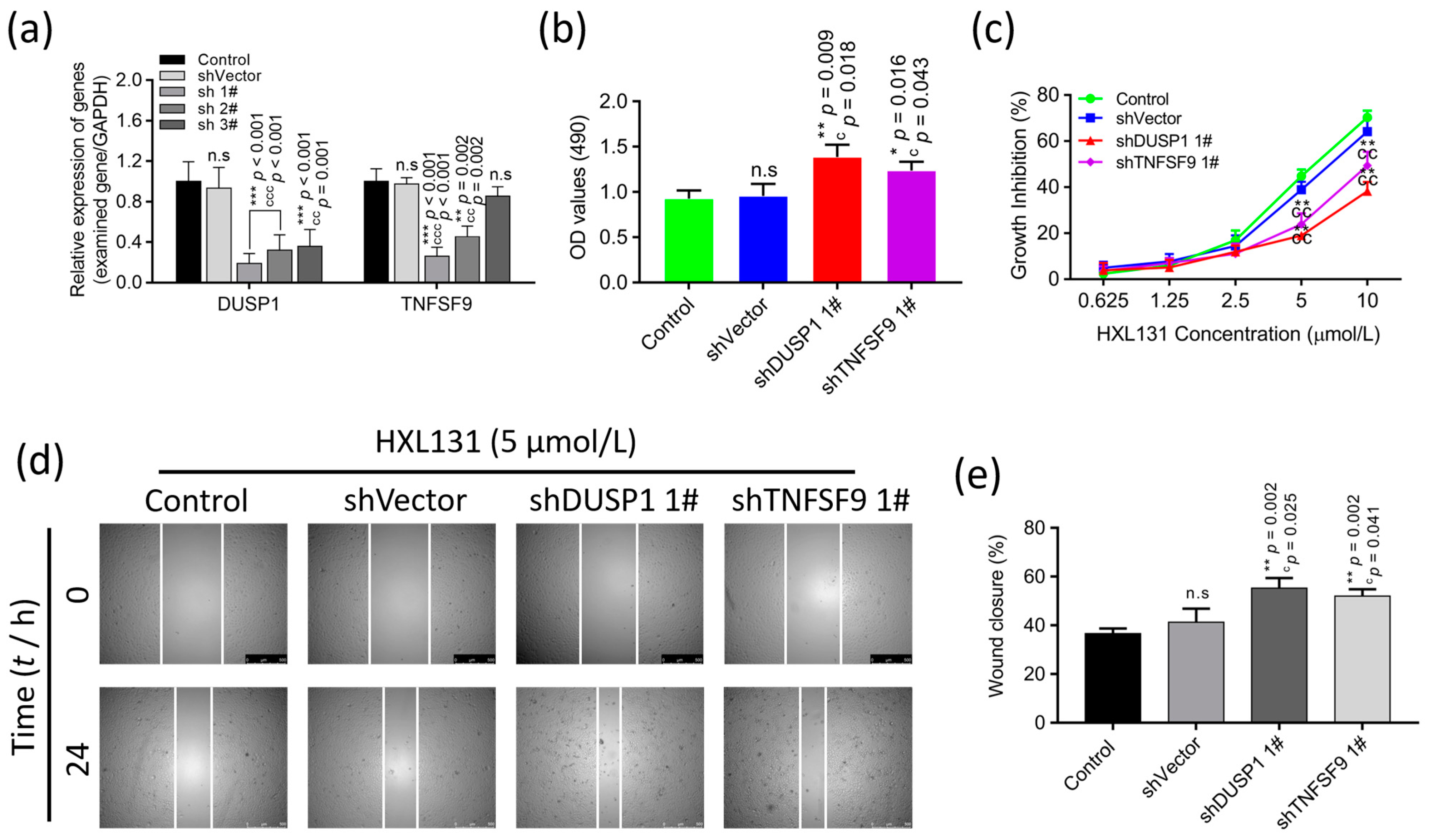 Ijms 23 10916 g008 Ijms 23 10916 g008