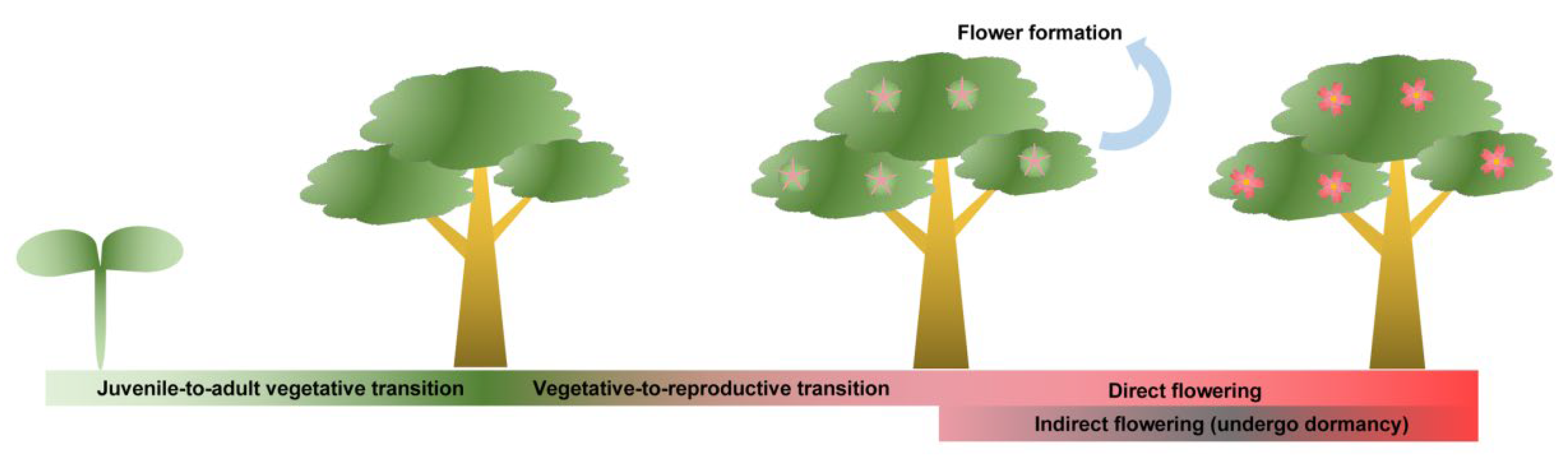 Ijms 23 10959 g001 Ijms 23 10959 g001