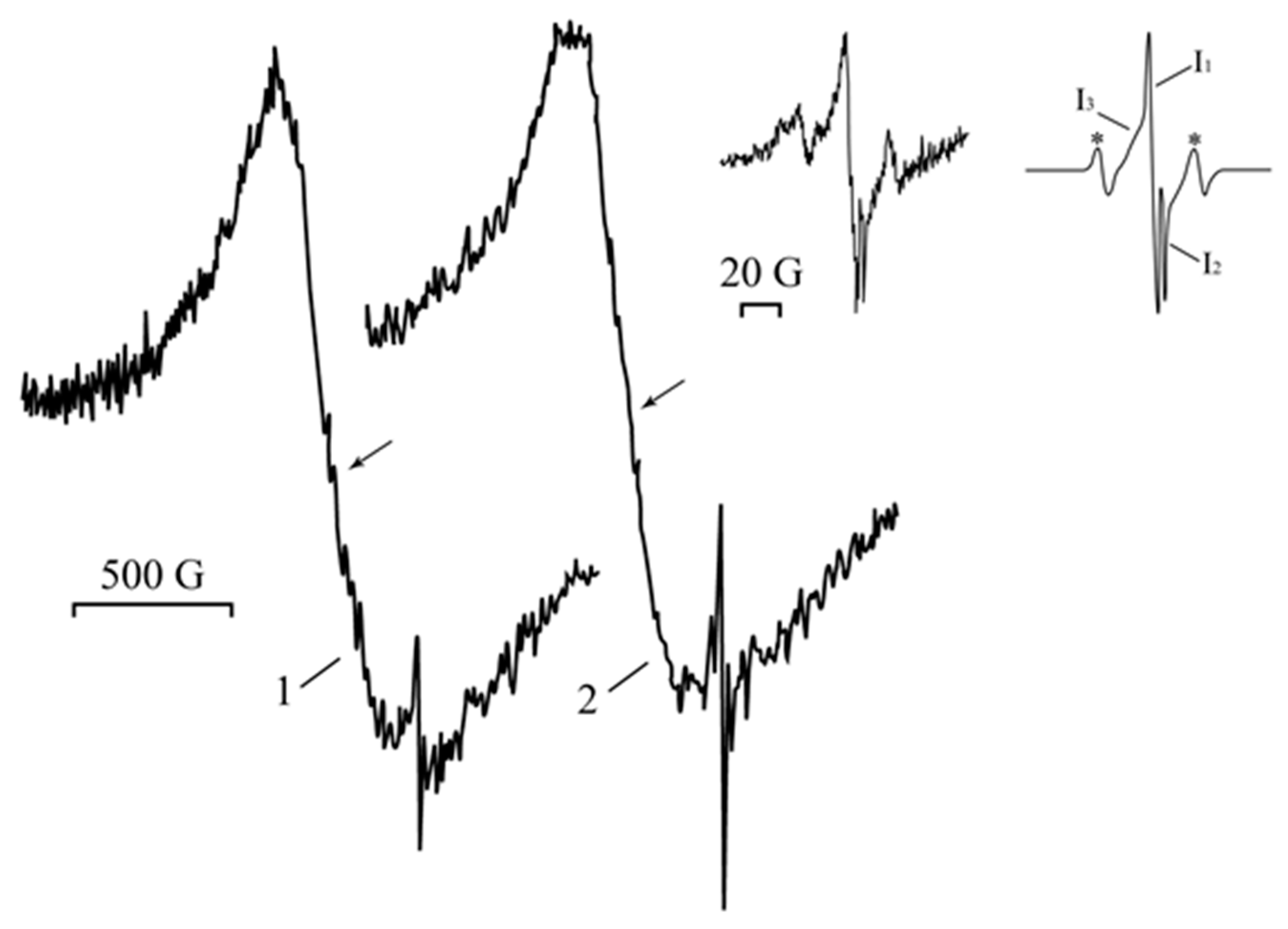 Ijms 23 10963 g006
