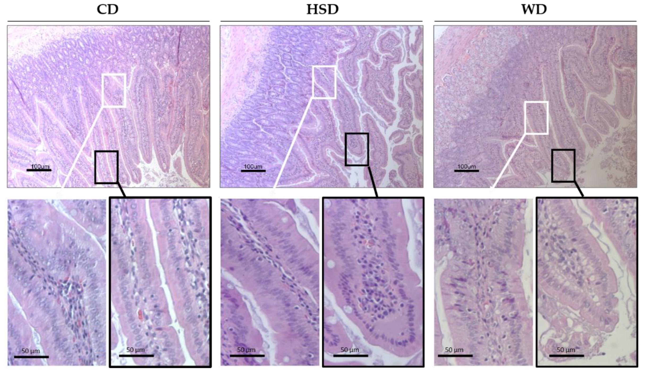 Ijms 23 10984 g004