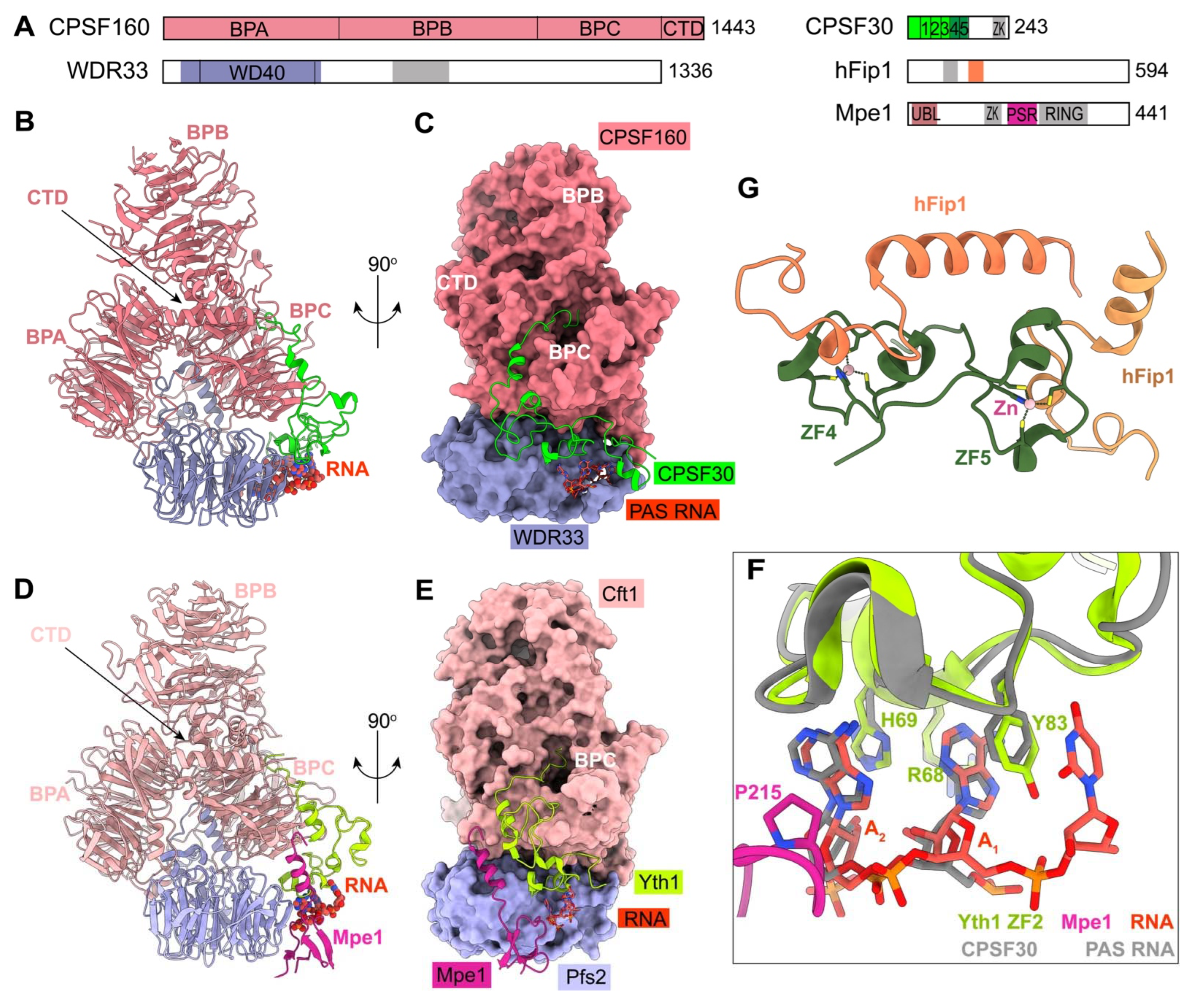 Ijms 23 10985 g003 Ijms 23 10985 g003