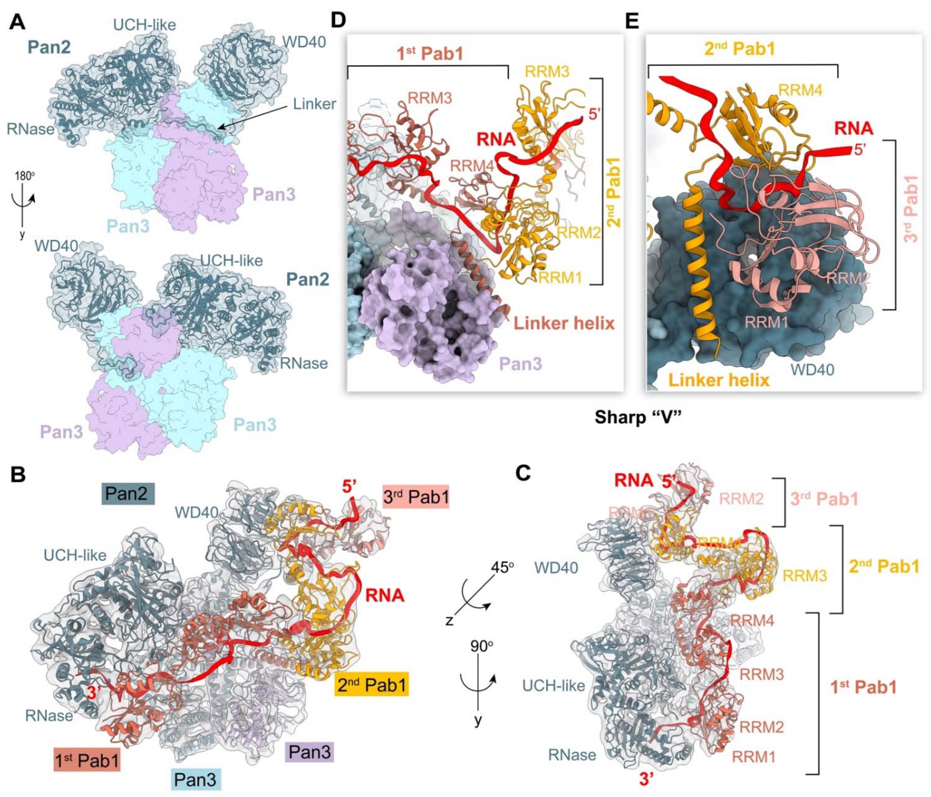 Ijms 23 10985 g006 Ijms 23 10985 g006