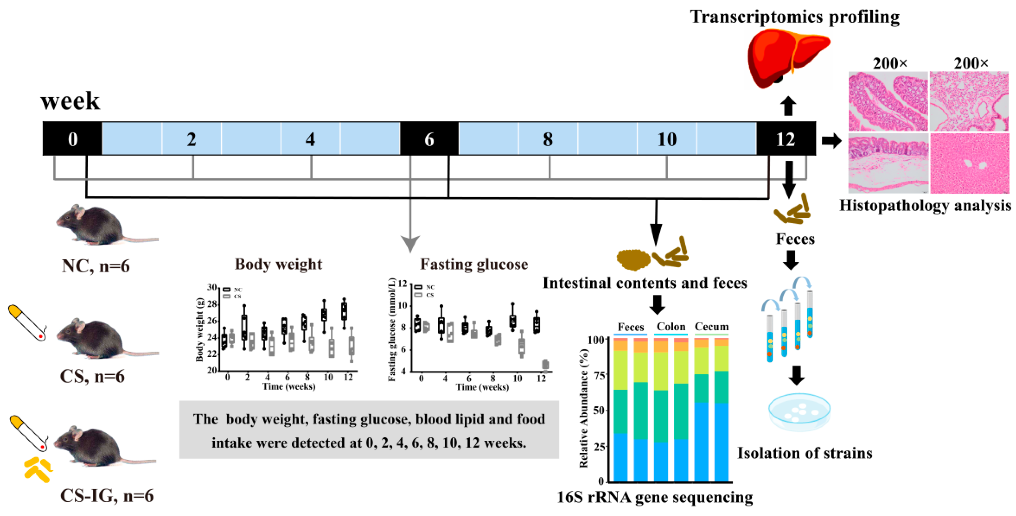 Ijms 23 11008 g001 Ijms 23 11008 g001