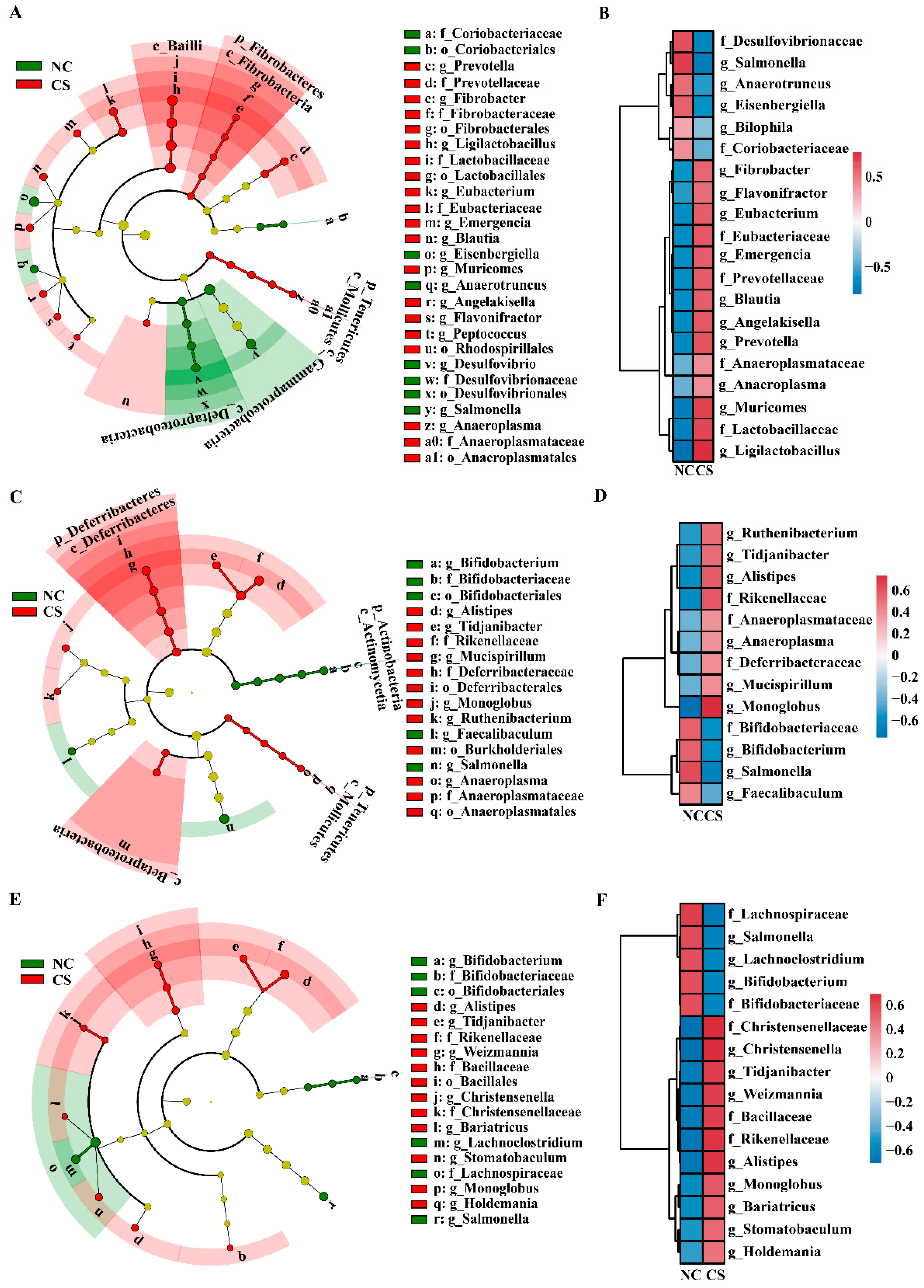 Ijms 23 11008 g005 Ijms 23 11008 g005