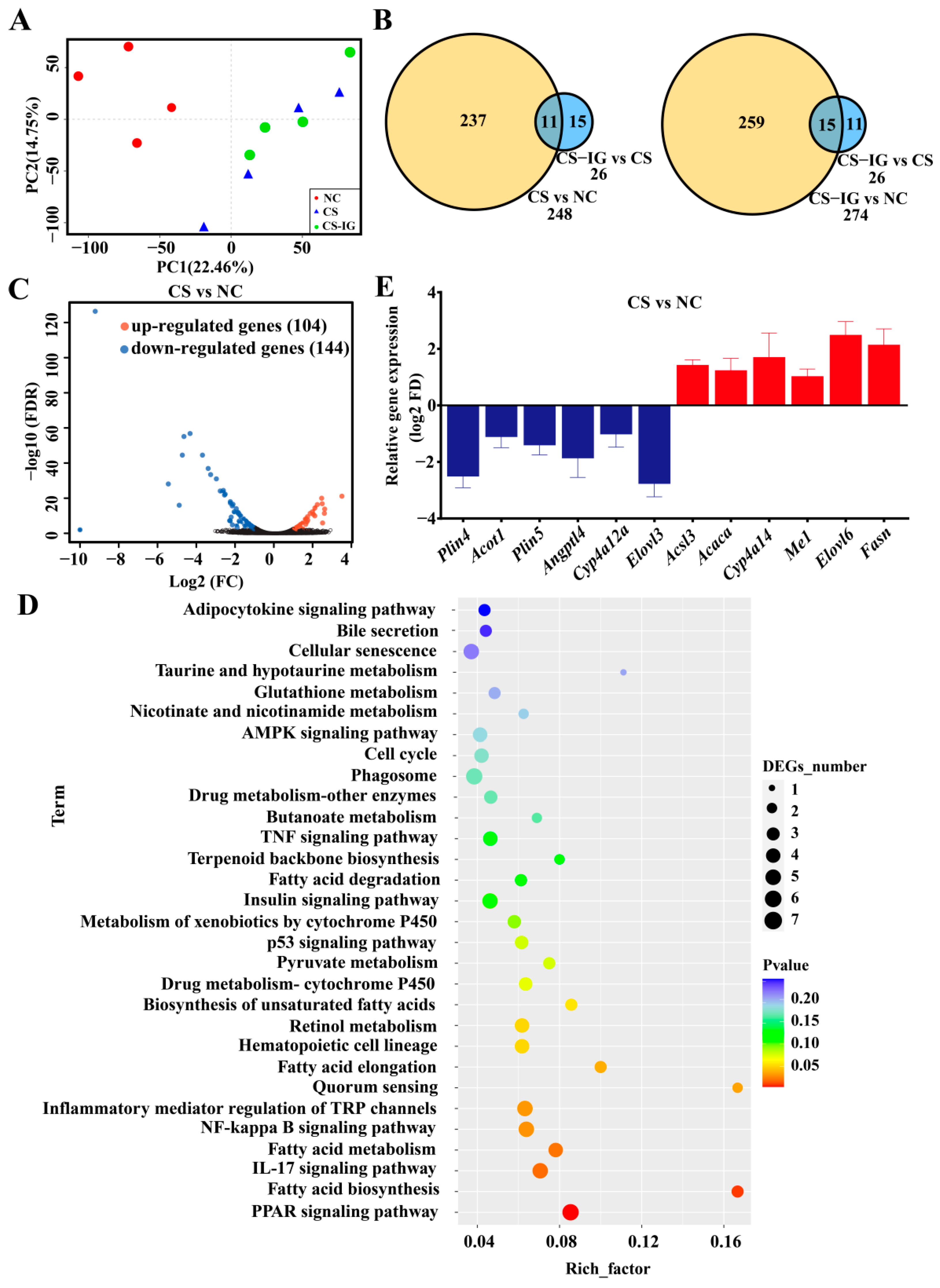 Ijms 23 11008 g006 Ijms 23 11008 g006