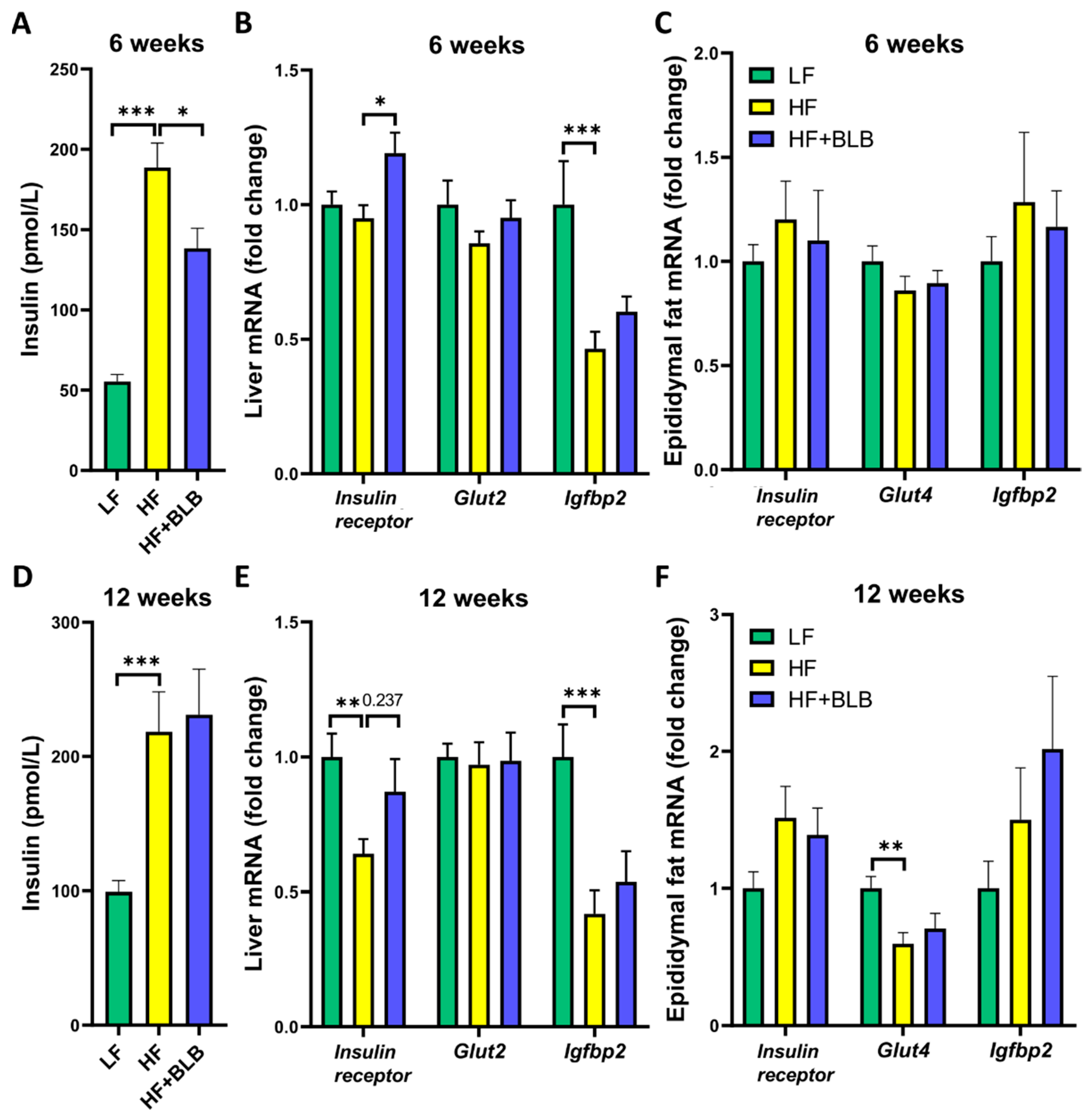 Ijms 23 11021 g005 Ijms 23 11021 g005