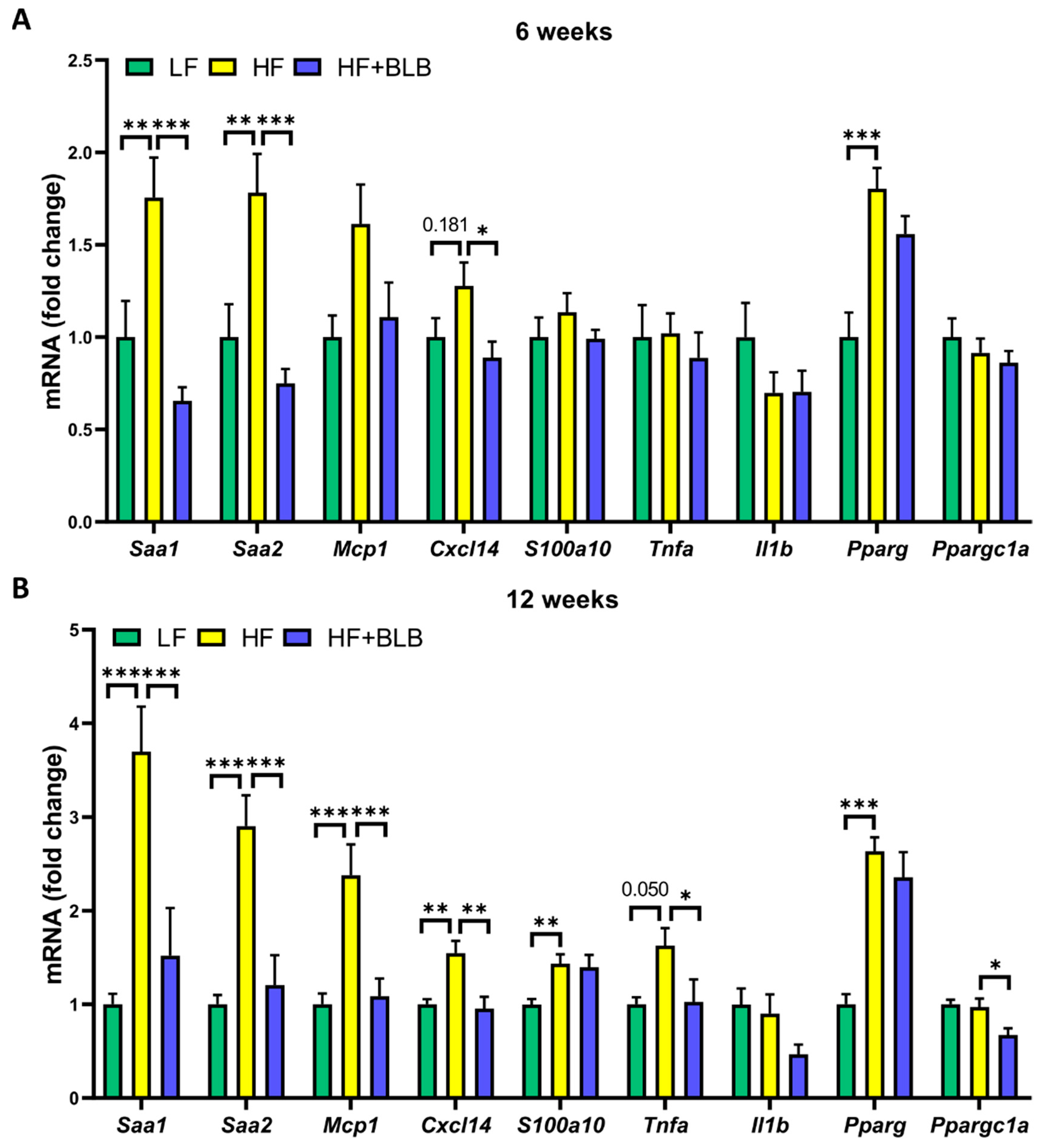 Ijms 23 11021 g006 Ijms 23 11021 g006