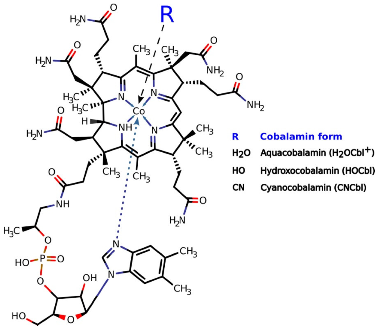 Ijms 23 11032 g001 Ijms 23 11032 g001