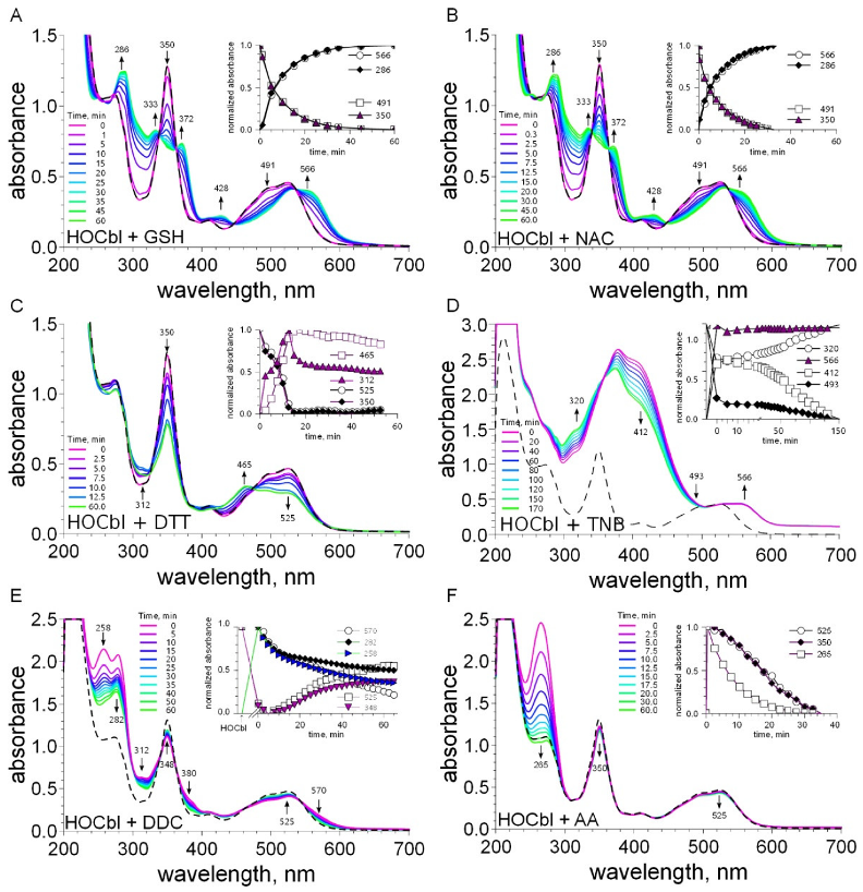 Ijms 23 11032 g004 Ijms 23 11032 g004