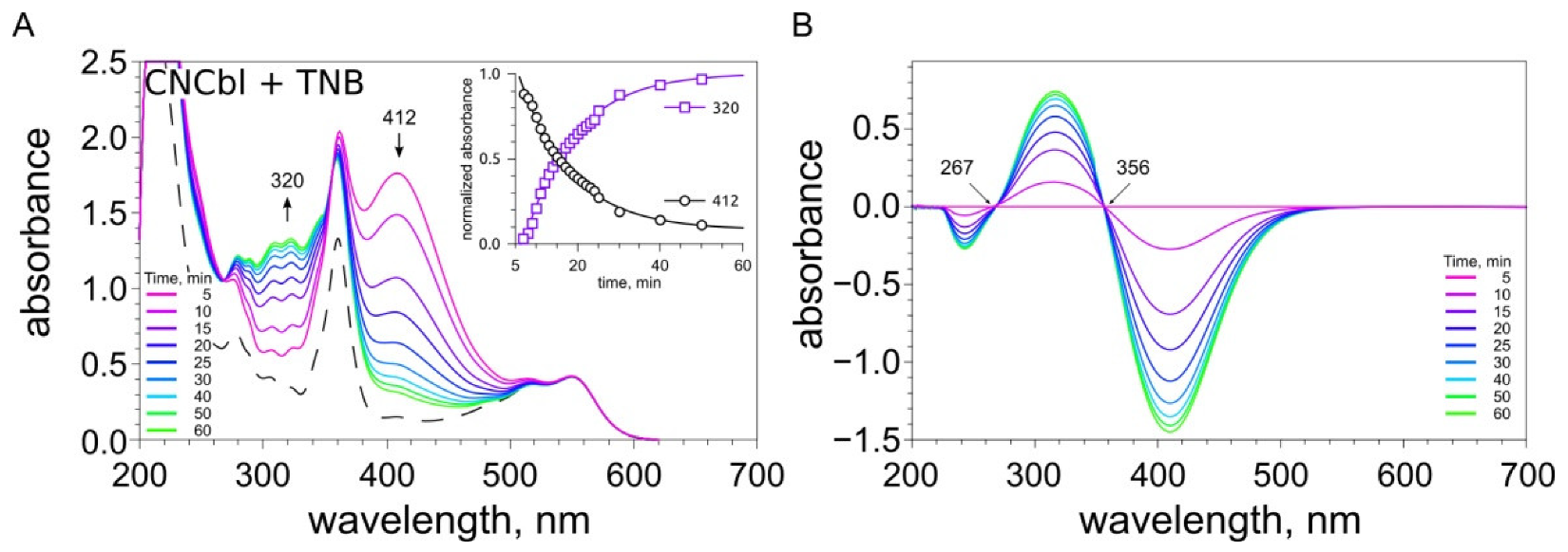 Ijms 23 11032 g005 Ijms 23 11032 g005