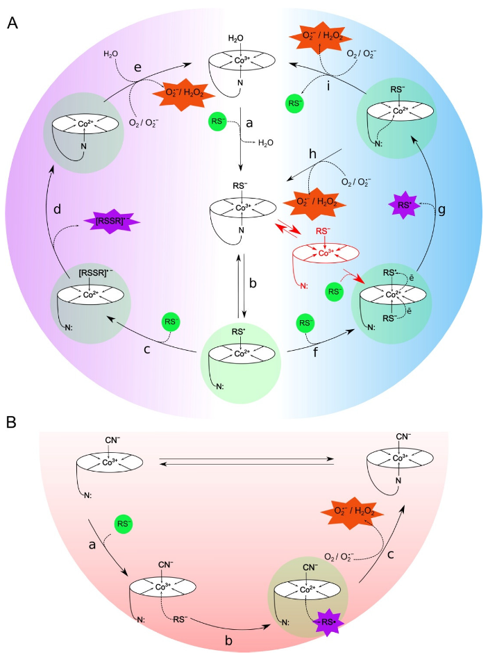 Ijms 23 11032 g007 Ijms 23 11032 g007