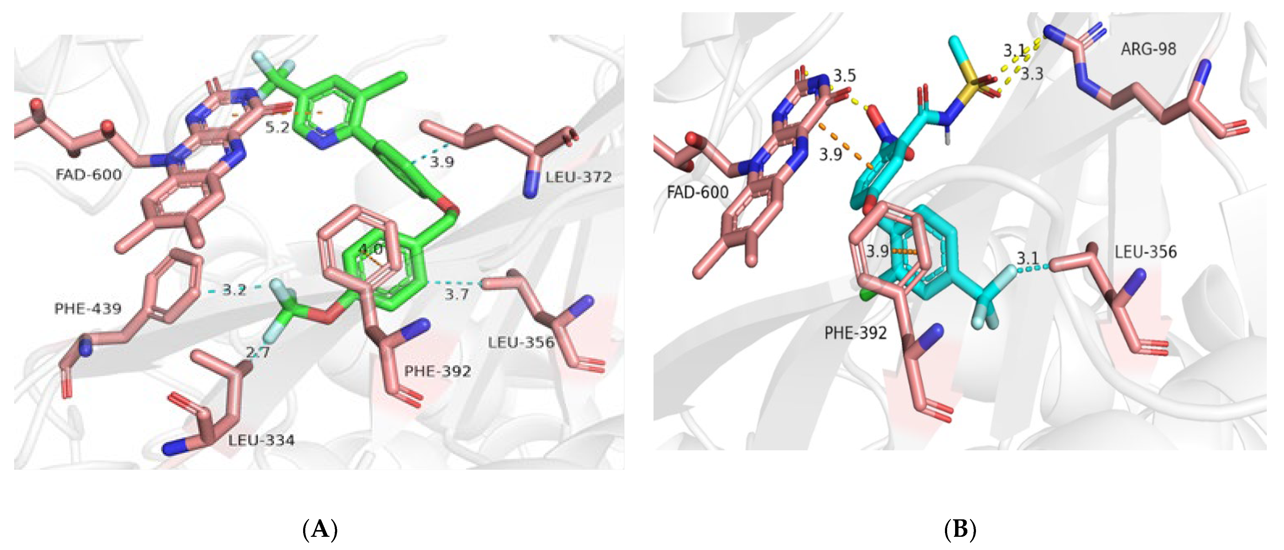 Ijms 23 11083 g005 Ijms 23 11083 g005