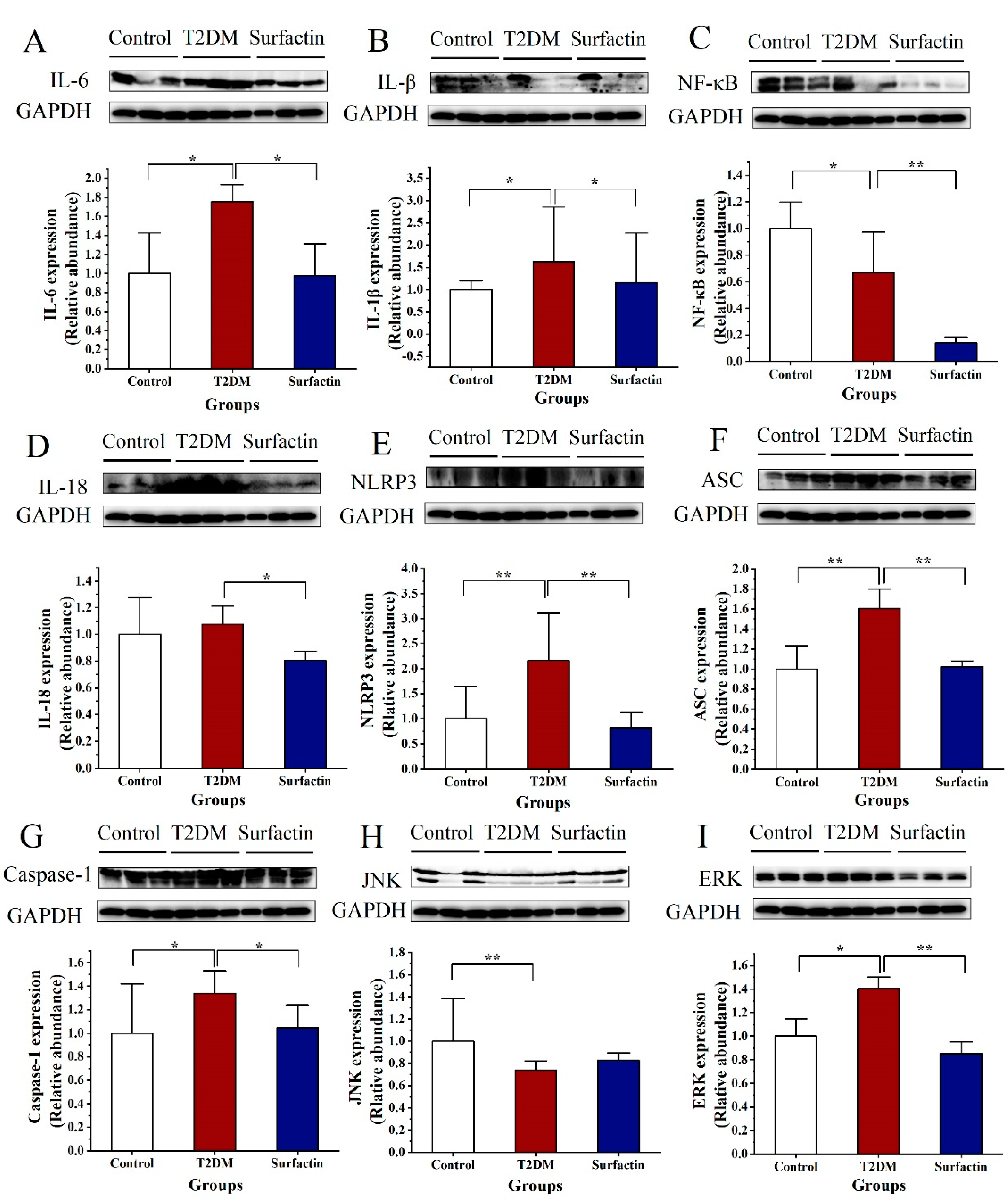Ijms 23 11086 g001 Ijms 23 11086 g001