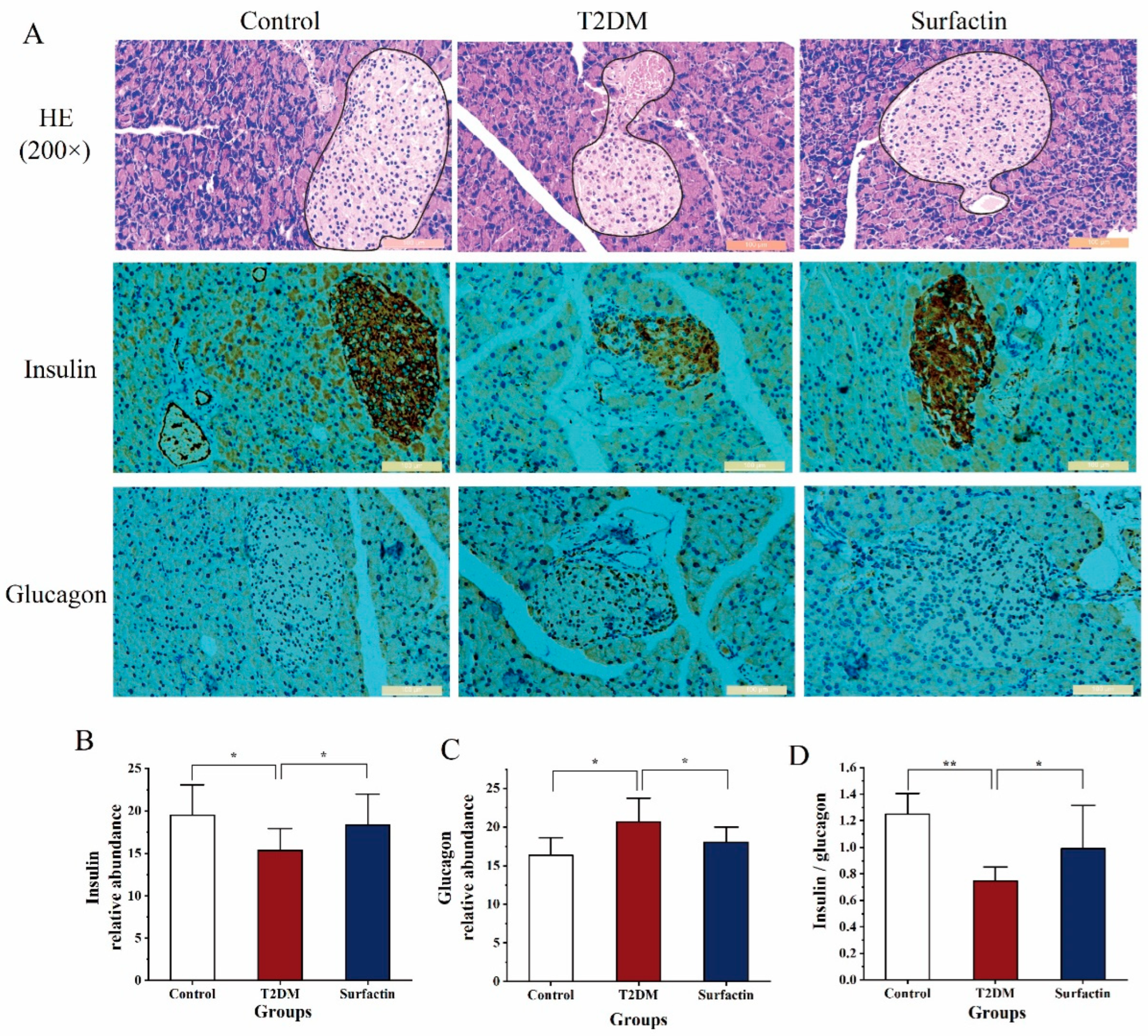 Ijms 23 11086 g003 Ijms 23 11086 g003