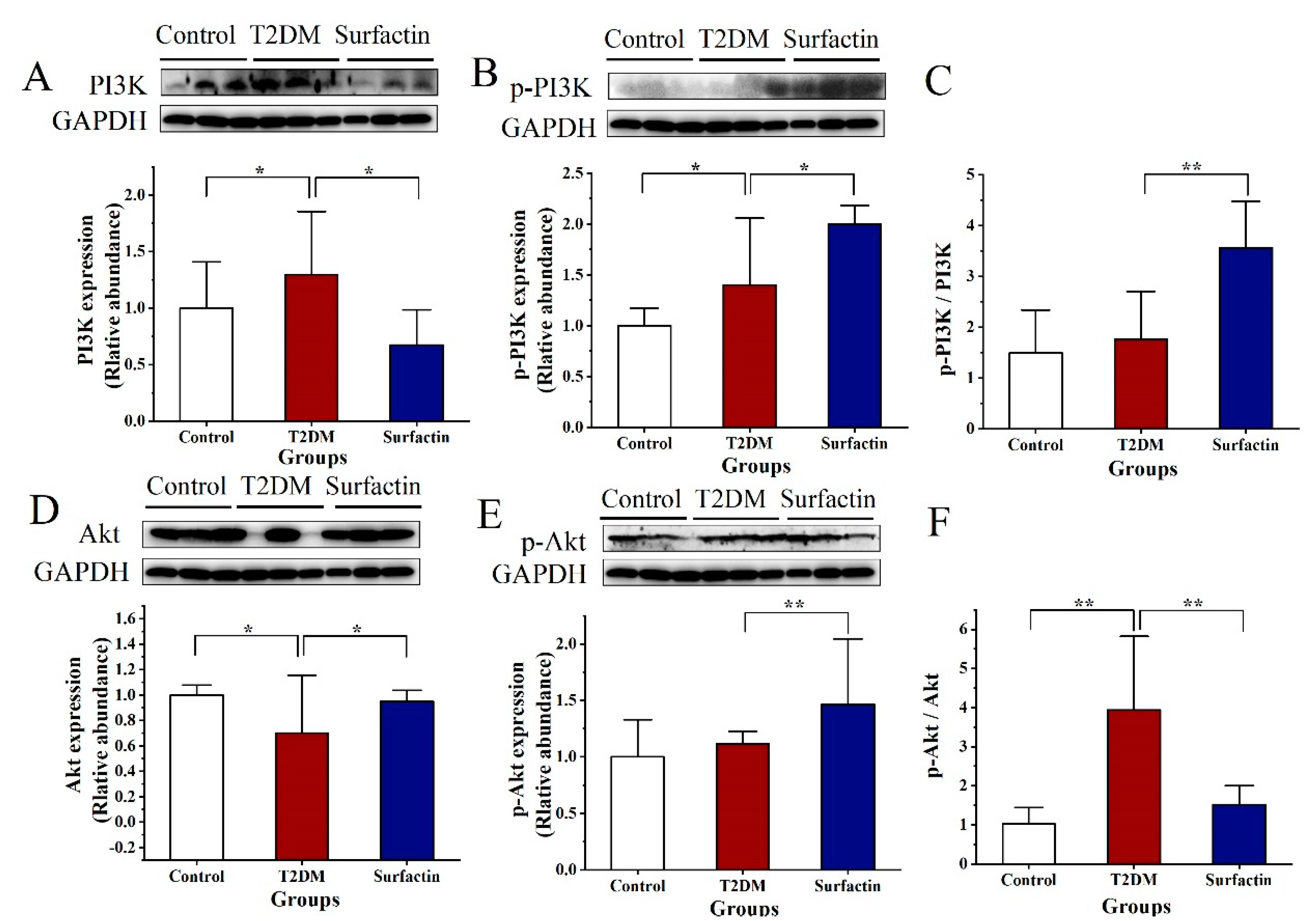 Ijms 23 11086 g004 Ijms 23 11086 g004