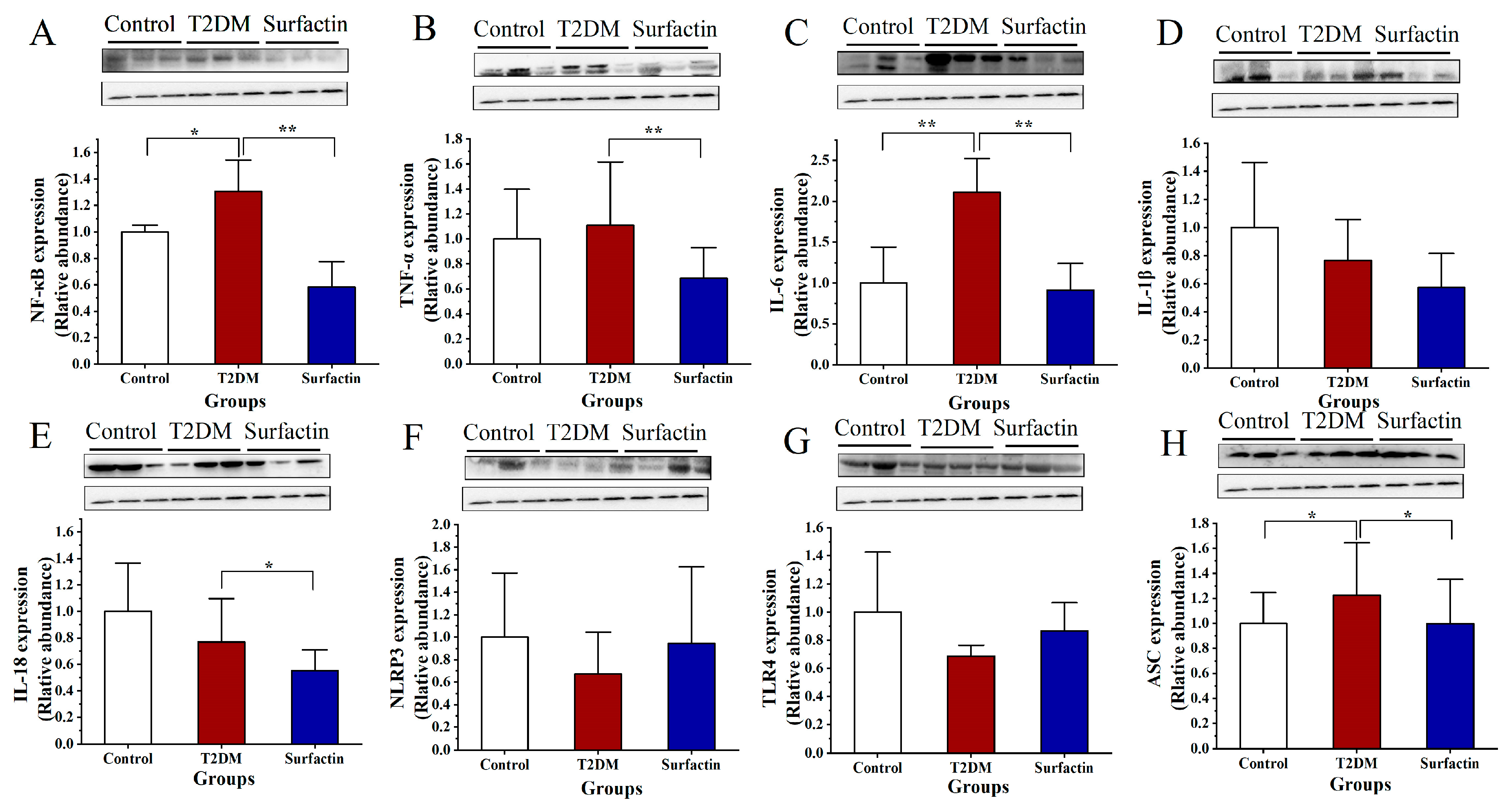 Ijms 23 11086 g005 Ijms 23 11086 g005