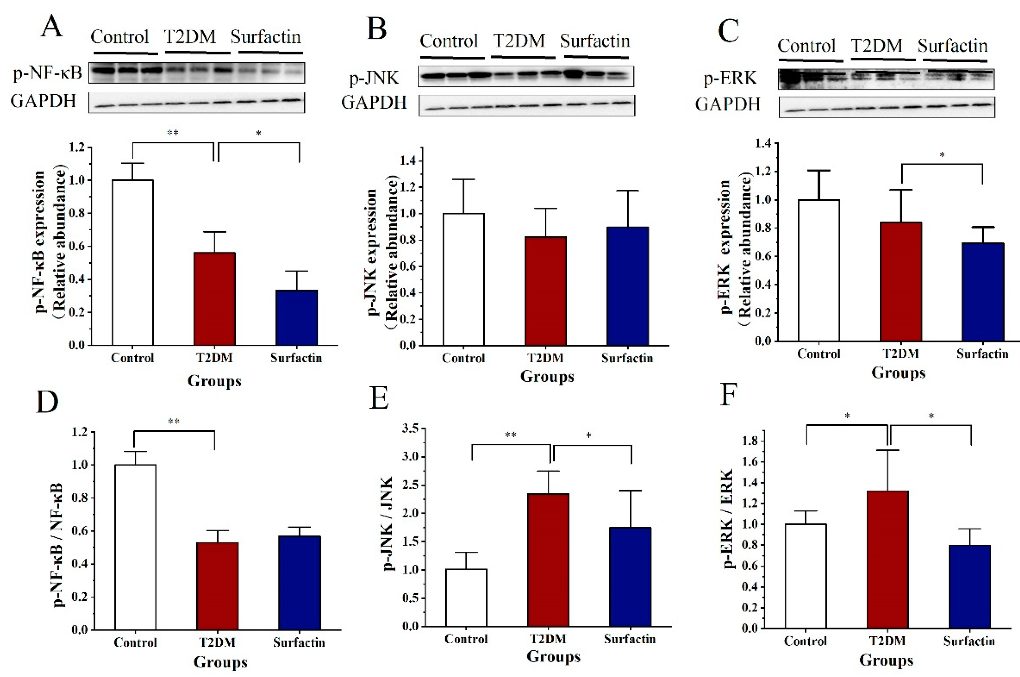 Ijms 23 11086 g006 Ijms 23 11086 g006