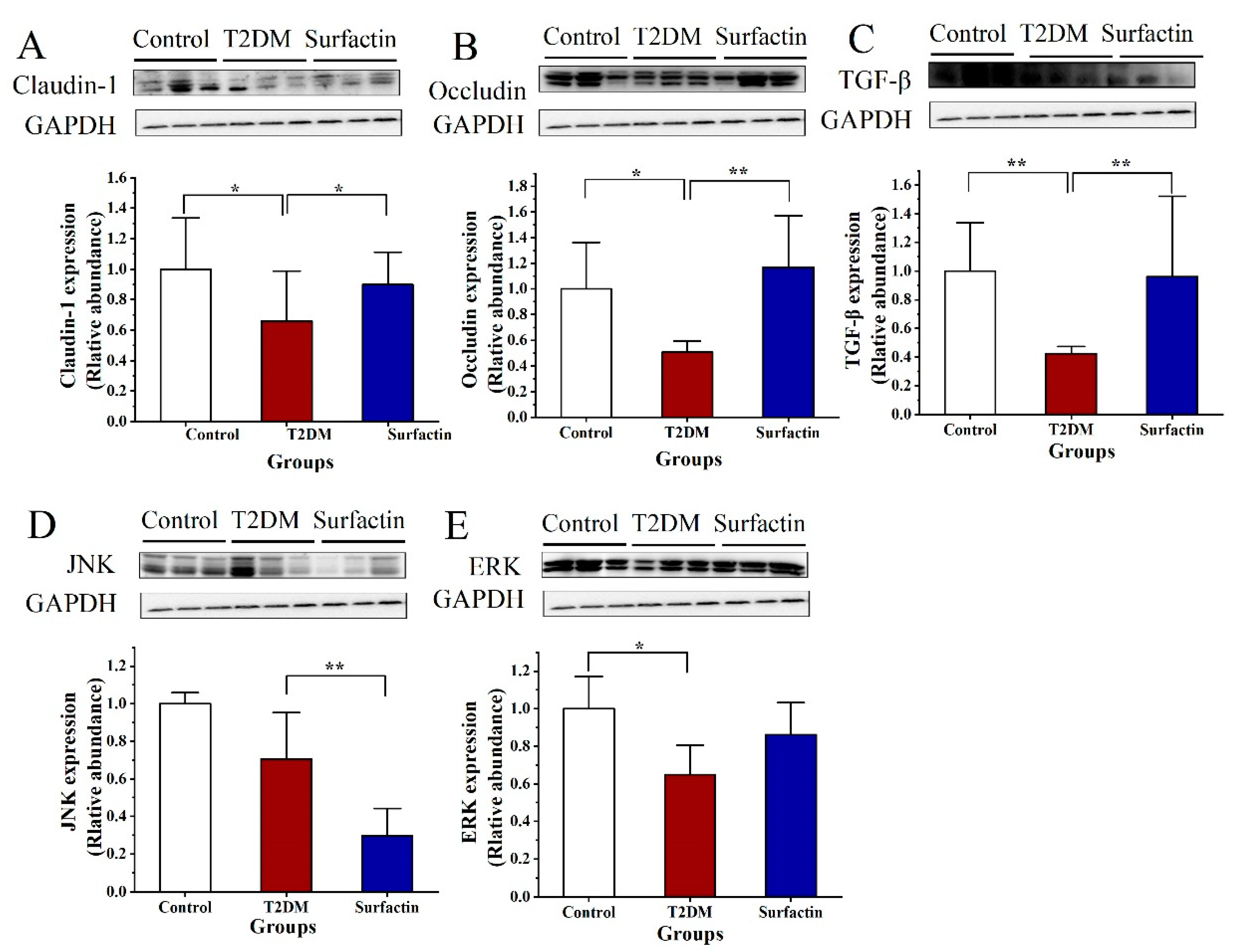 Ijms 23 11086 g007 Ijms 23 11086 g007