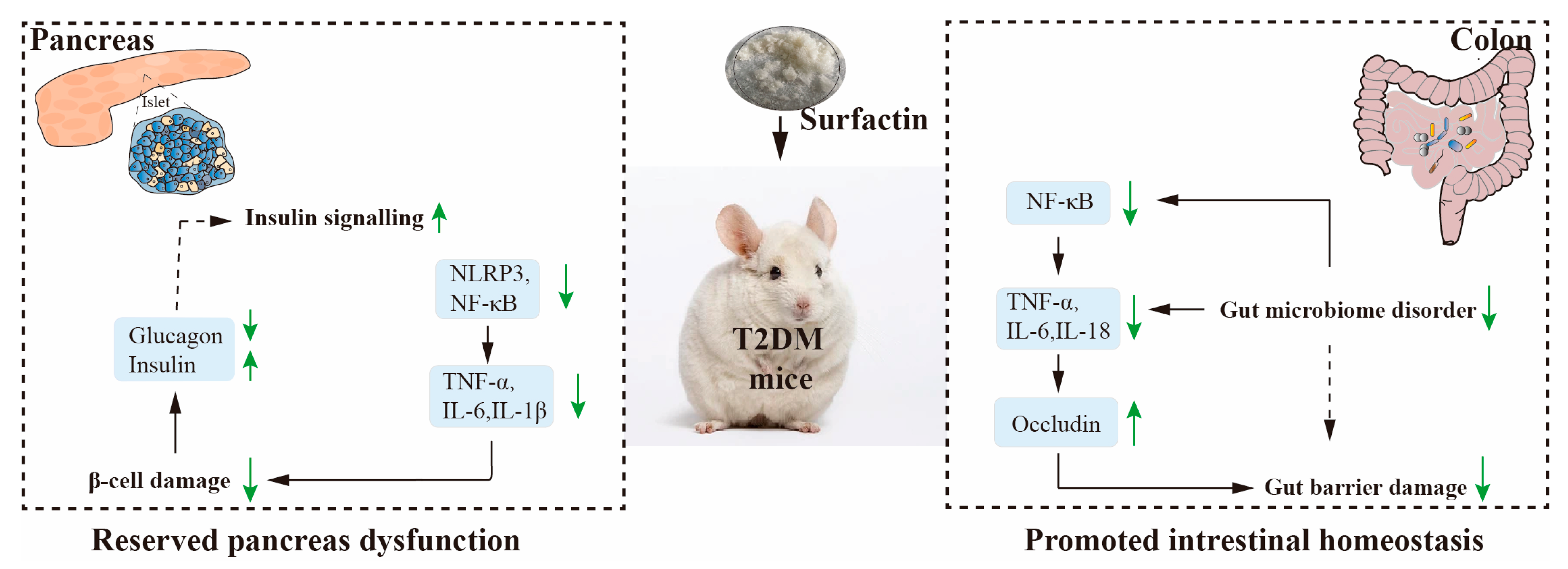 Ijms 23 11086 g009 Ijms 23 11086 g009