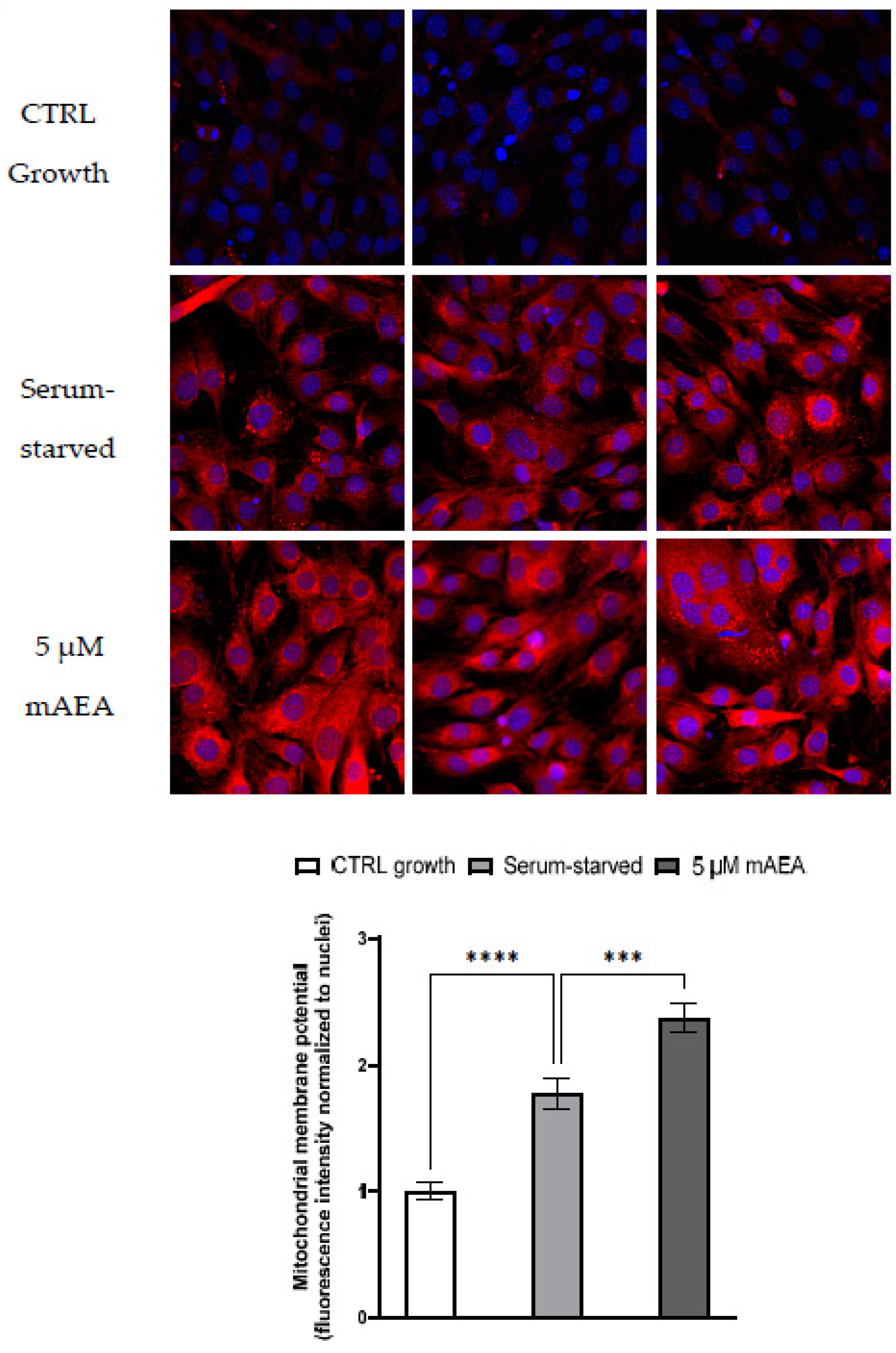 Ijms 23 11103 g008 Ijms 23 11103 g008