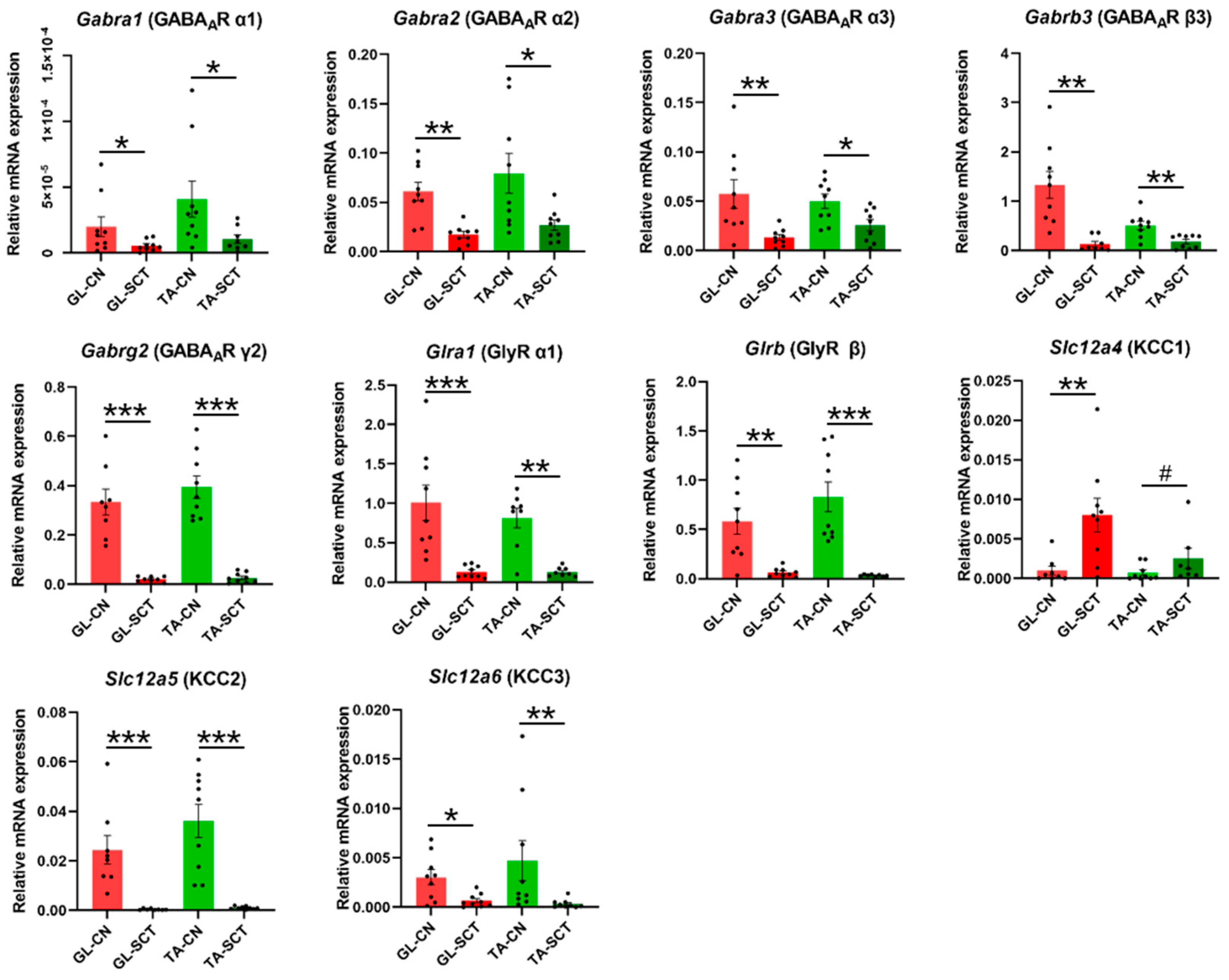 Ijms 23 11133 g004 Ijms 23 11133 g004