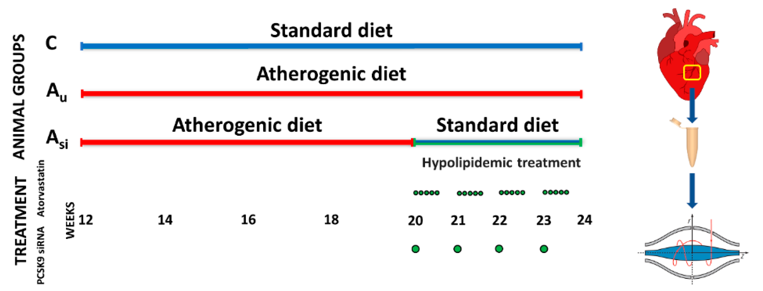 Ijms 23 11174 g001 Ijms 23 11174 g001