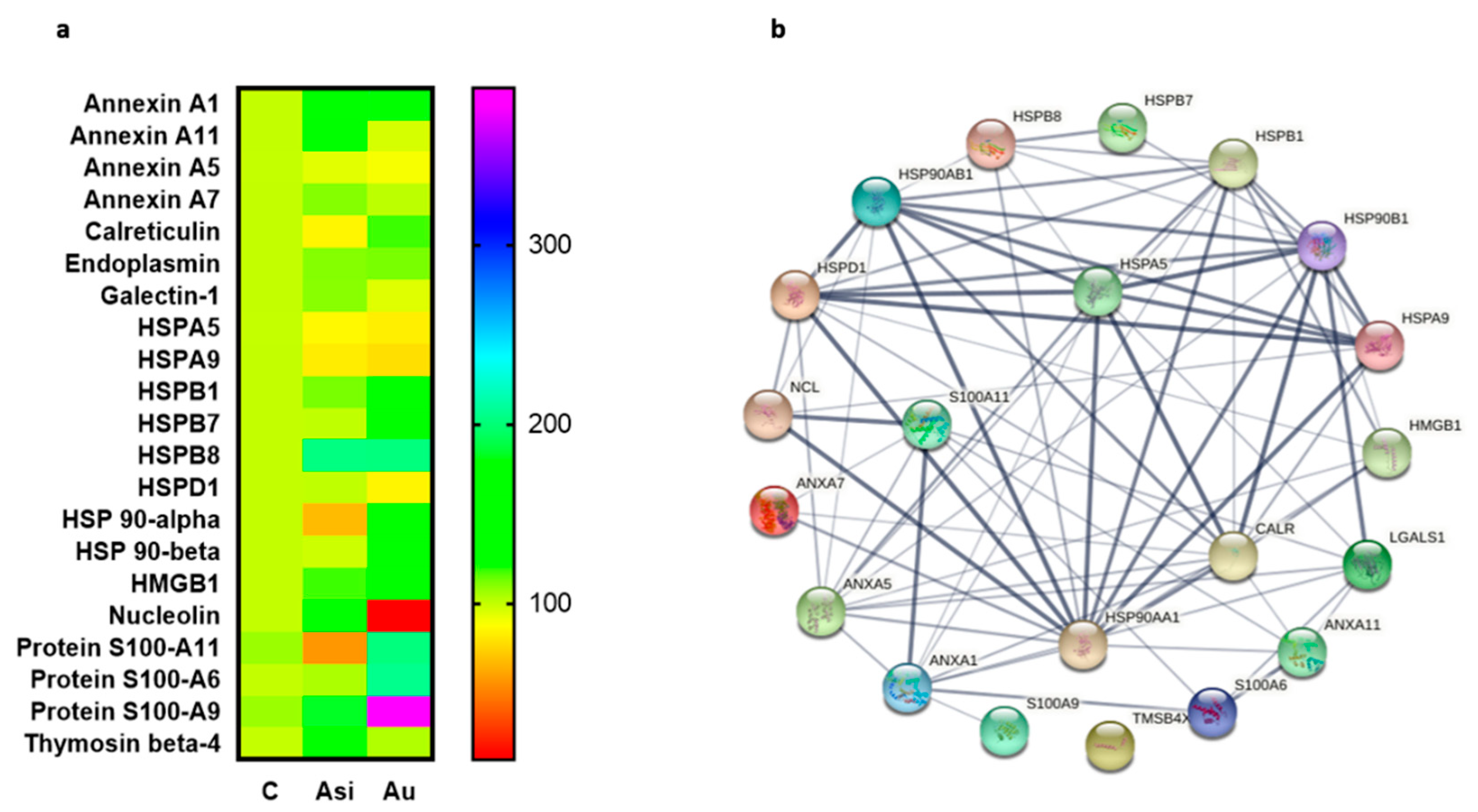 Ijms 23 11174 g006 Ijms 23 11174 g006