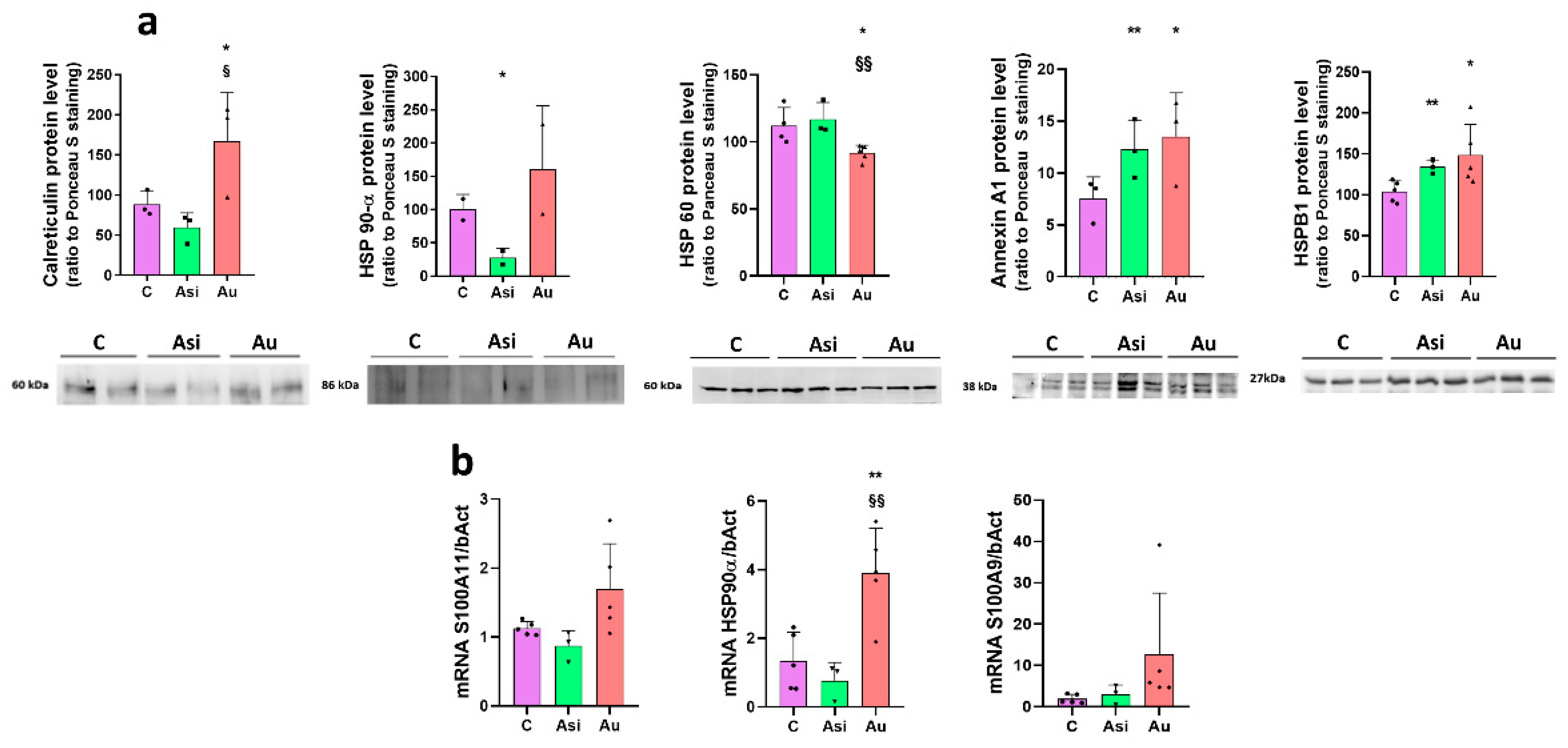 Ijms 23 11174 g008 Ijms 23 11174 g008