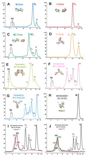 Ijms 23 11192 g002 Ijms 23 11192 g002